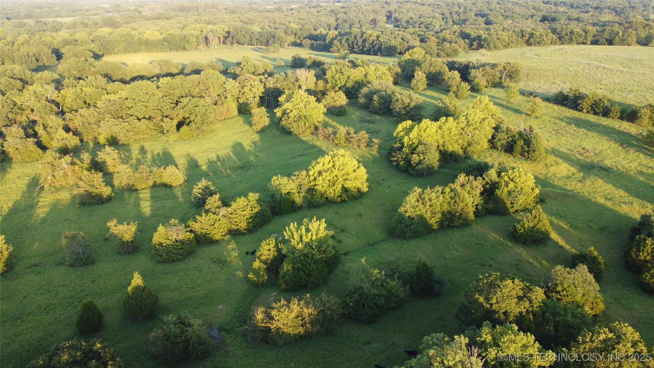 E 1010 Road Property Photo 6