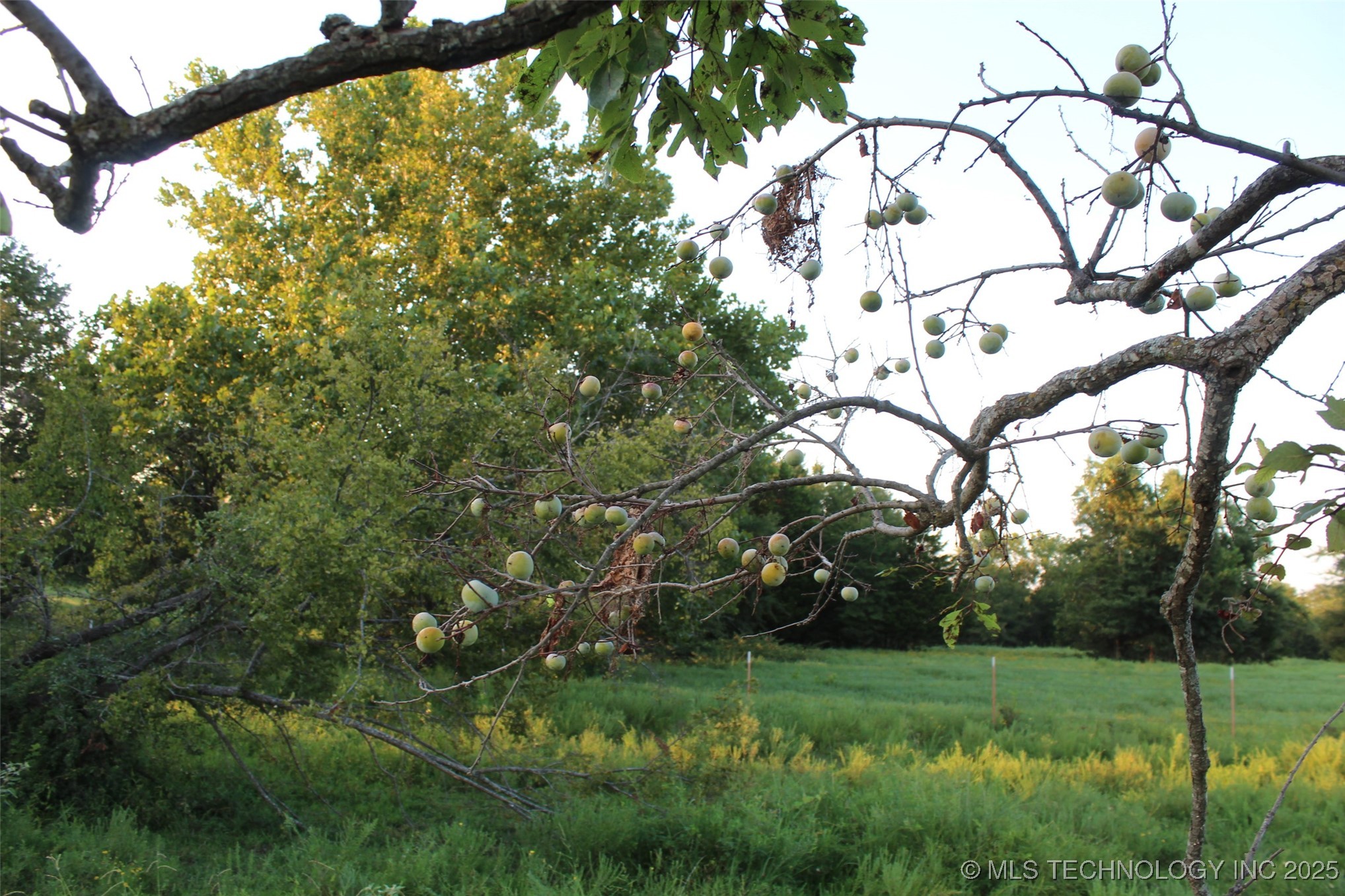 E 1010 Road Property Photo 15