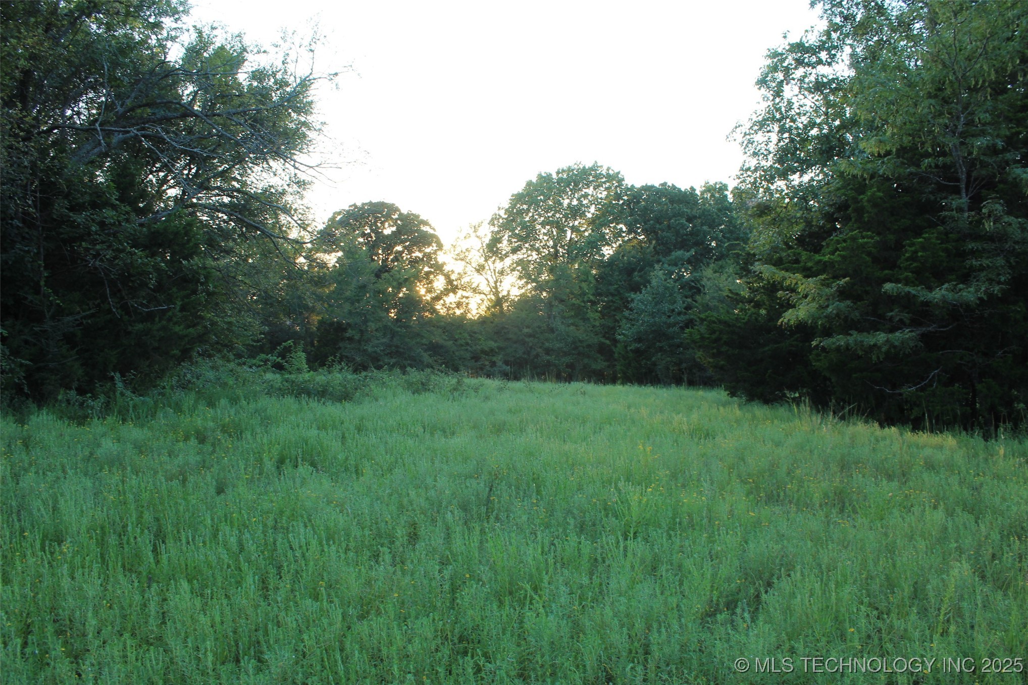 E 1010 Road Property Photo 17