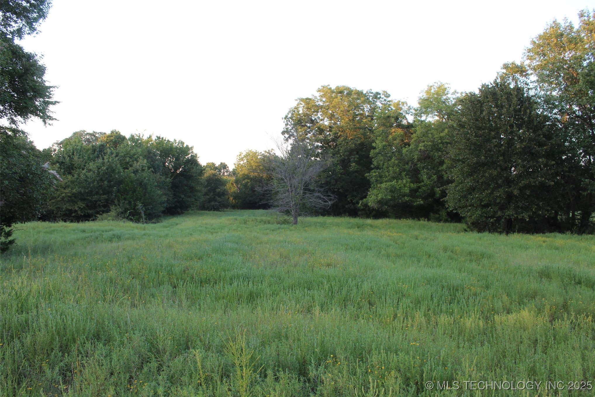 E 1010 Road Property Photo 18