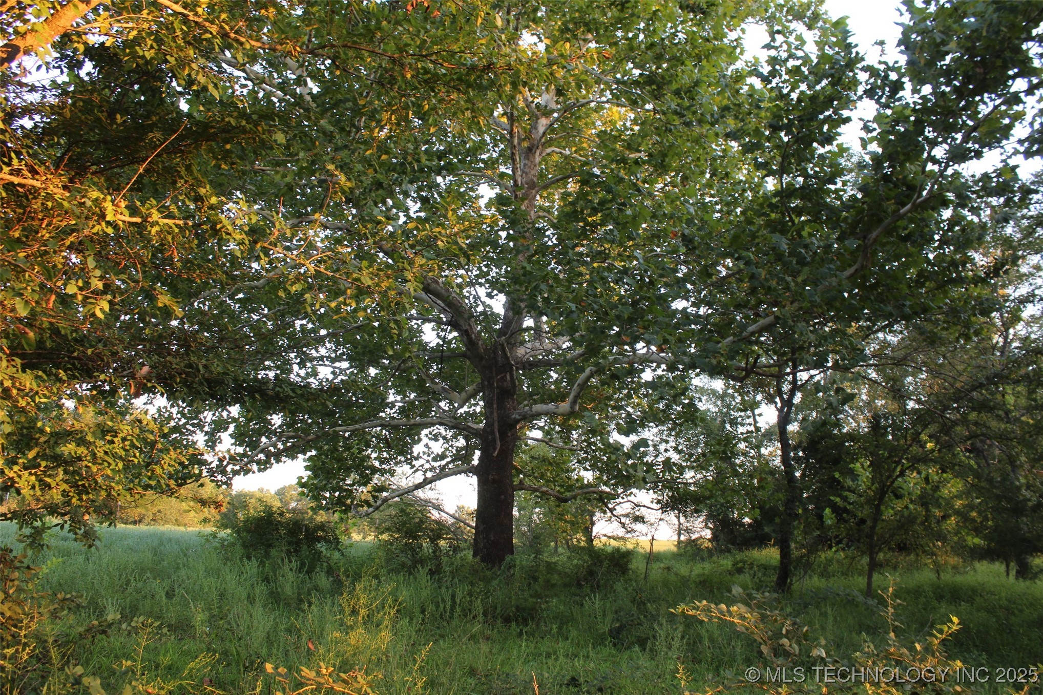 E 1010 Road Property Photo 19