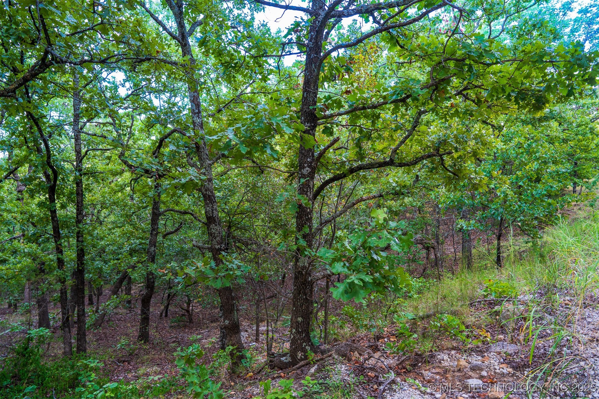 9 Deer Creek Trail Property Photo 30