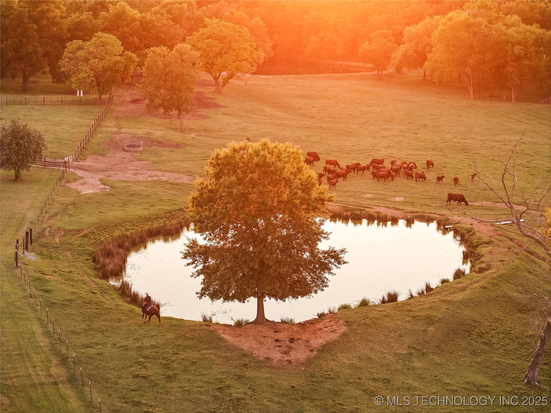 13067 Bristlecone Road Property Photo 2