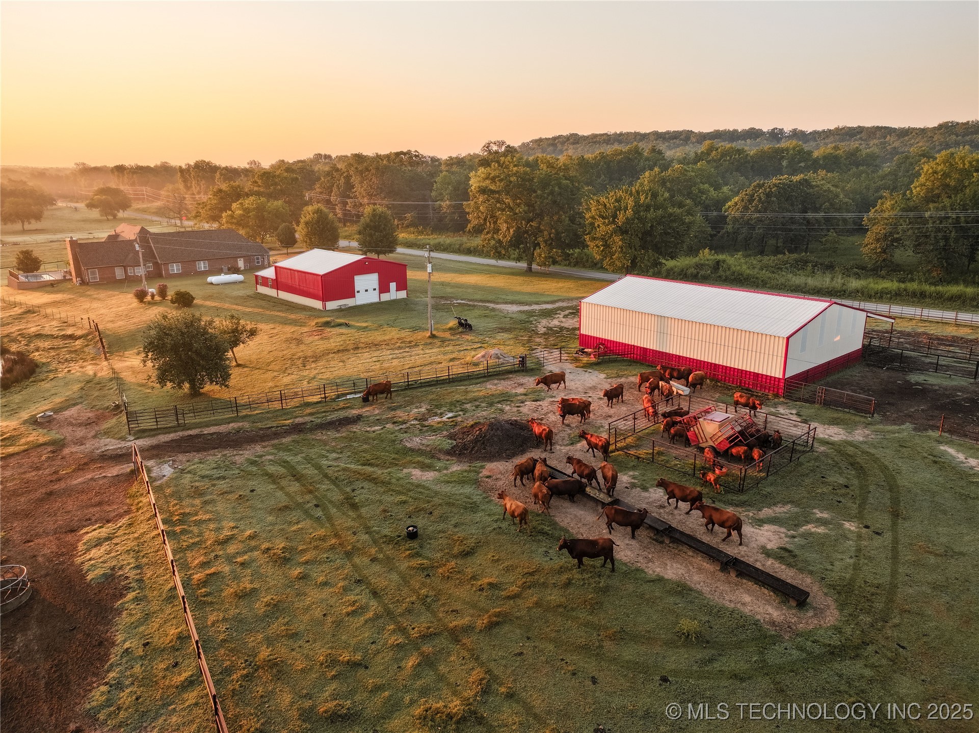 13067 Bristlecone Road Property Photo 9