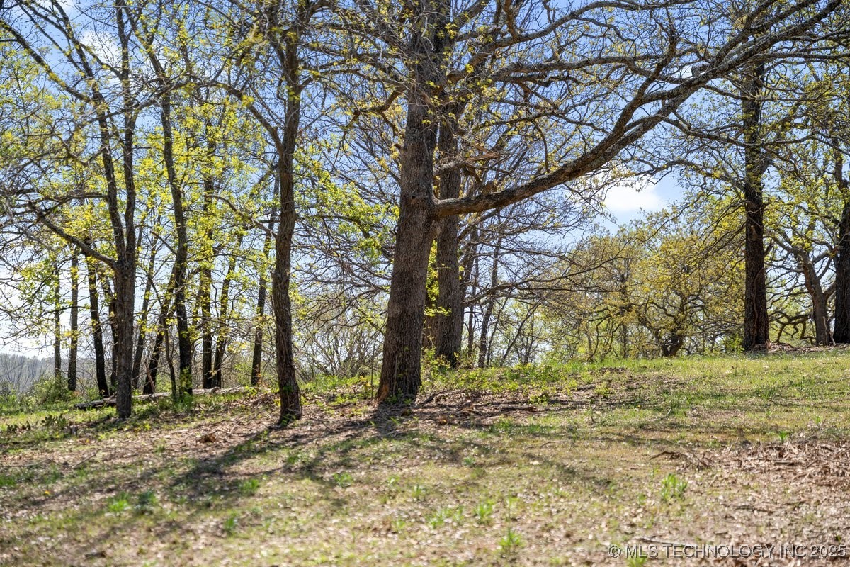 1 Hickory Bluff Road Property Photo 13