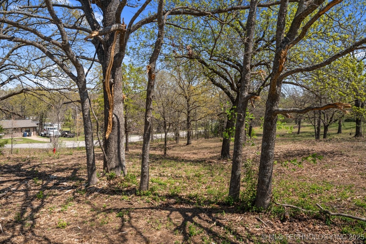 1 Hickory Bluff Road Property Photo 14