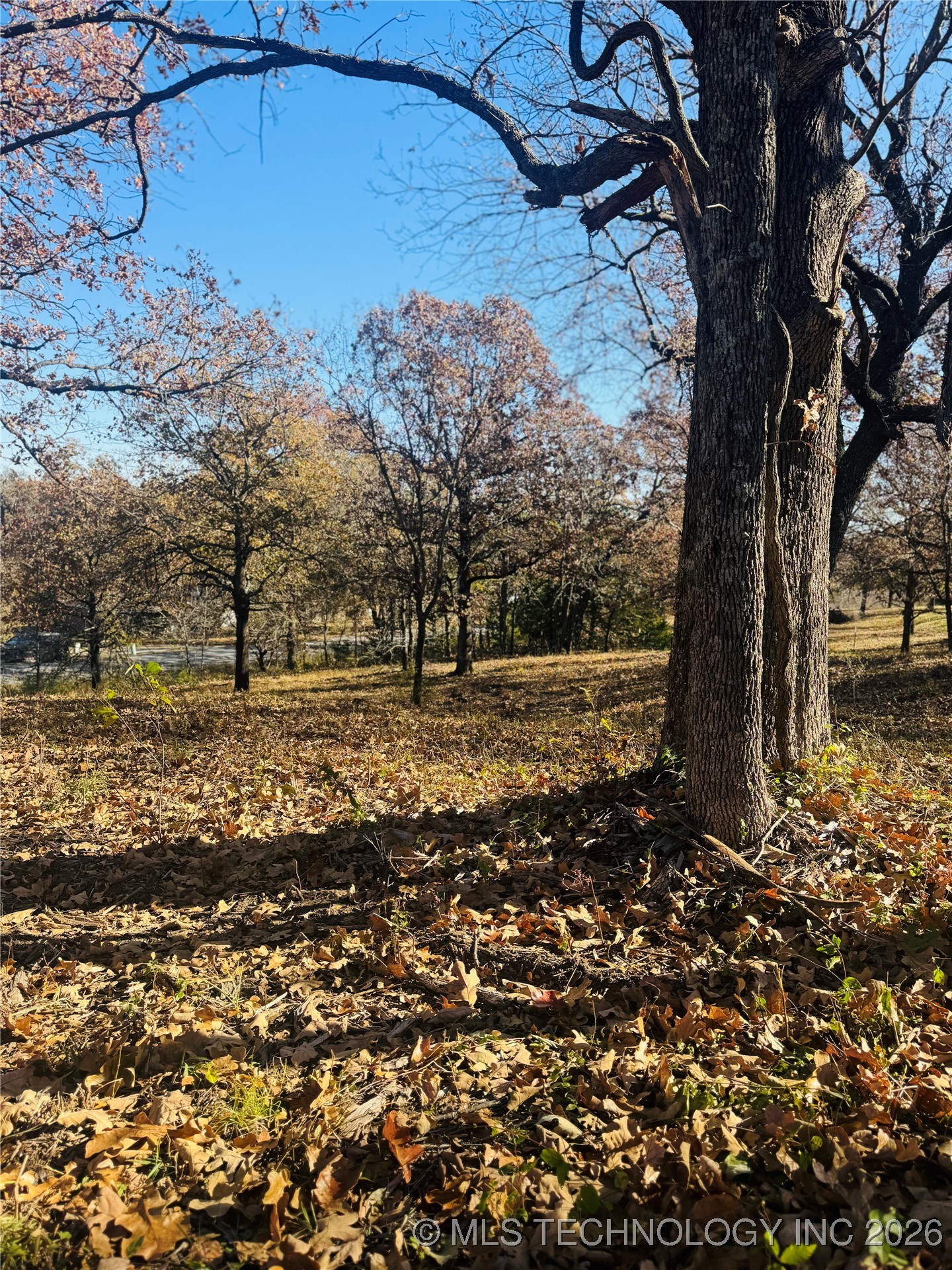 1 Hickory Bluff Road Property Photo 20