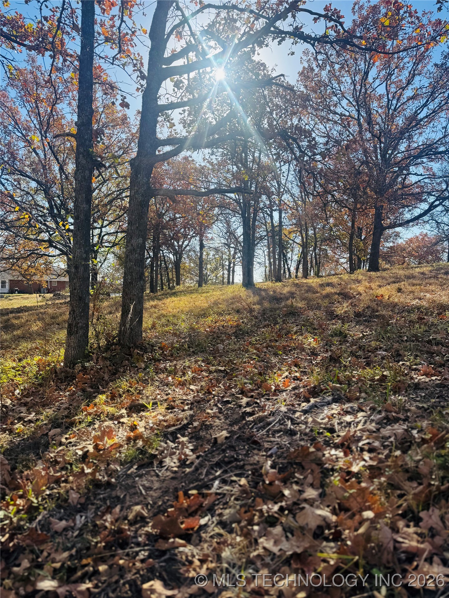 1 Hickory Bluff Road Property Photo 21