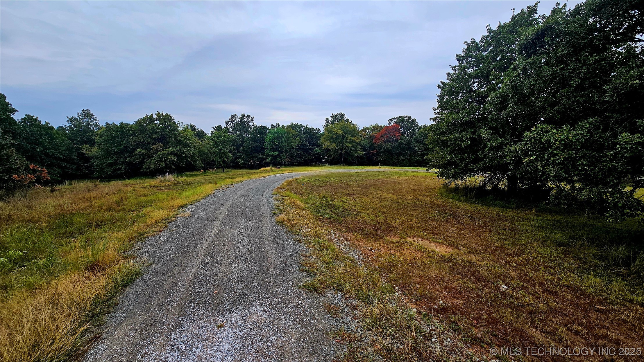 424344 4299 Loop Property Photo 2