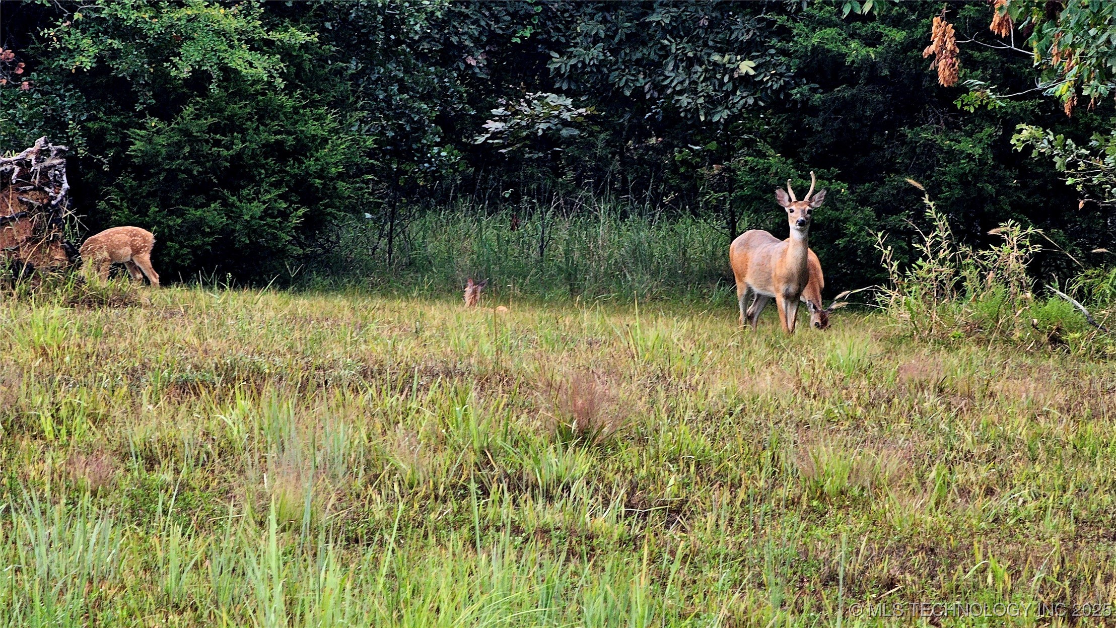 424344 4299 Loop Property Photo 28