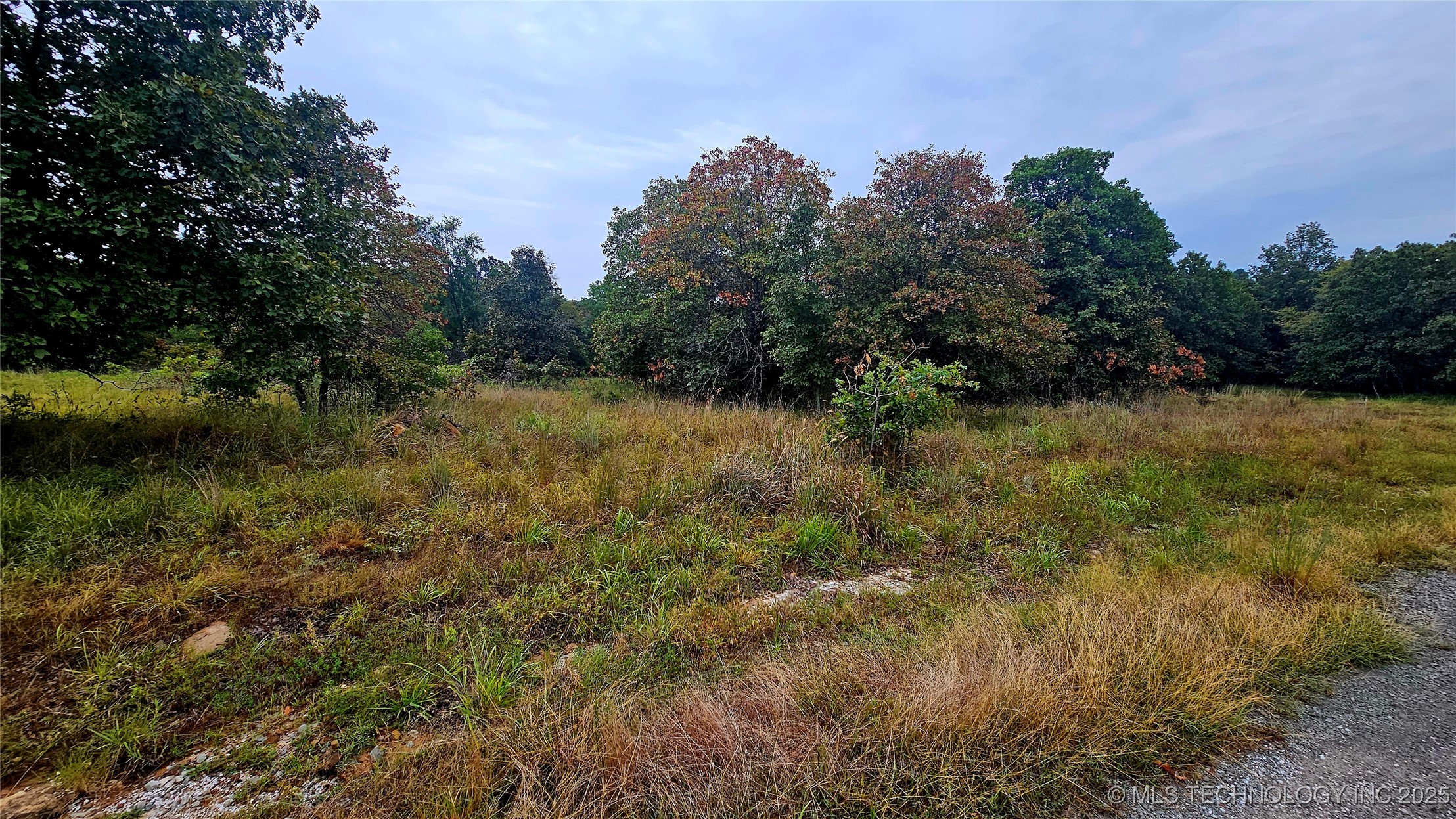 424344 4299 Loop Property Photo 29