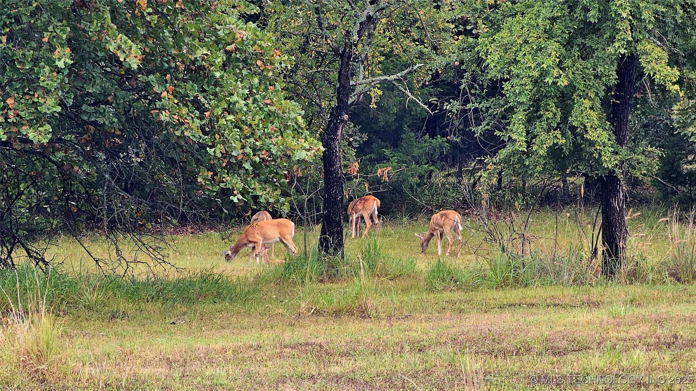 424344 4299 Loop Property Photo 30