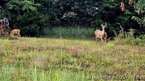 1 4299 Road Property Photo 20