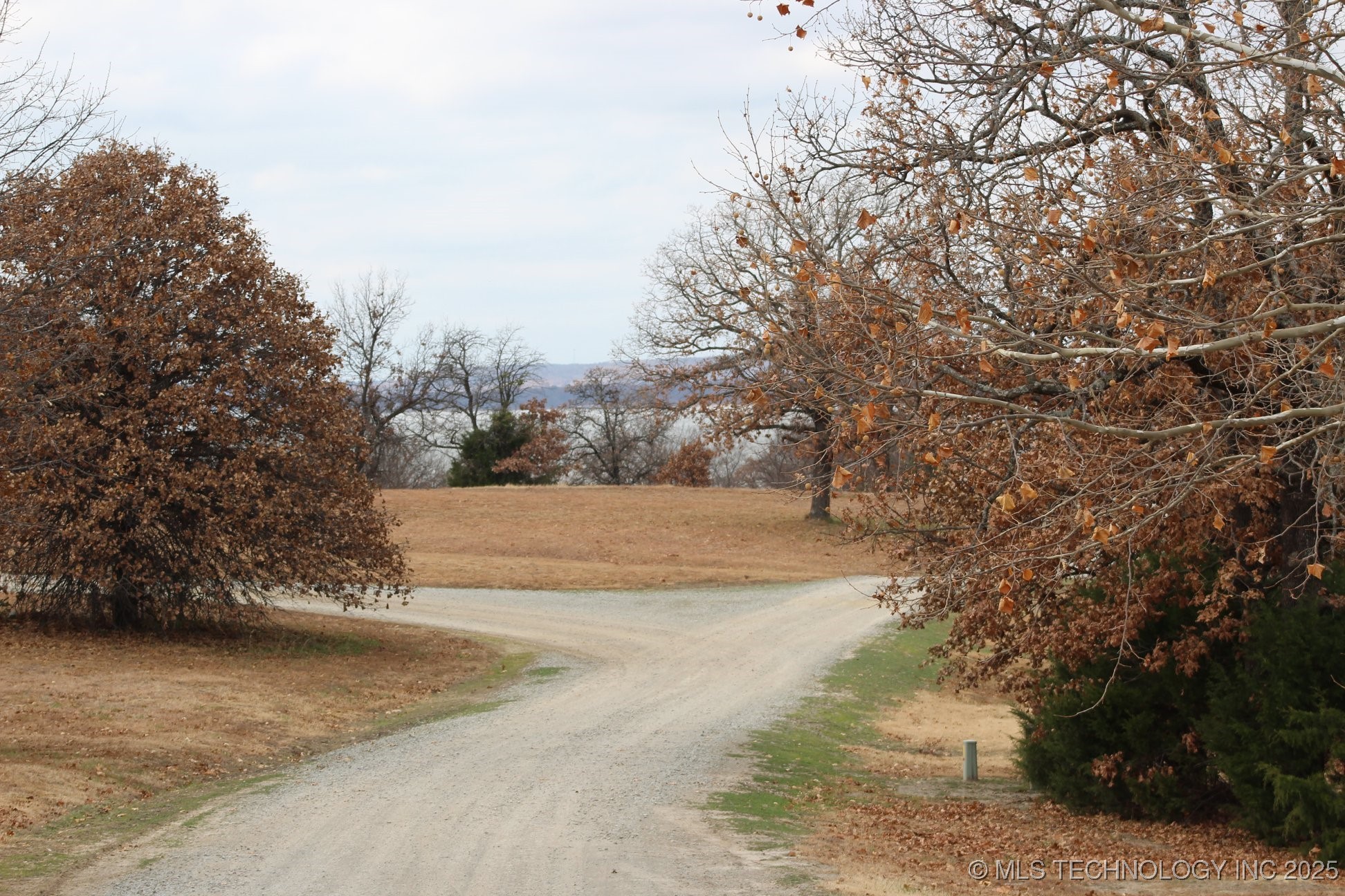 2537043 Property Photo 12