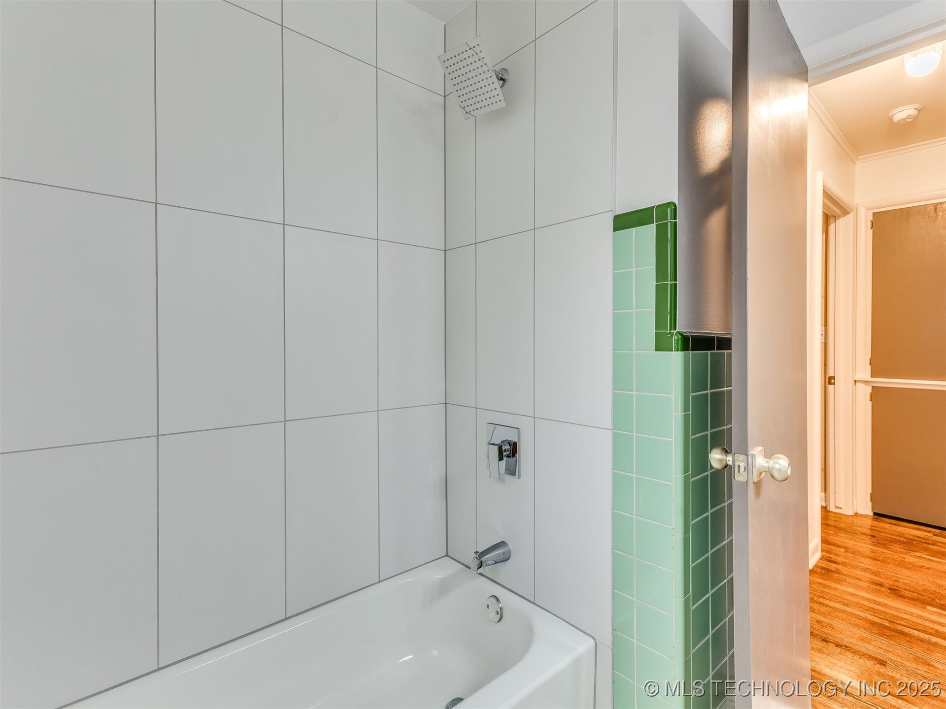 309 S 8th Street Property Photo 28