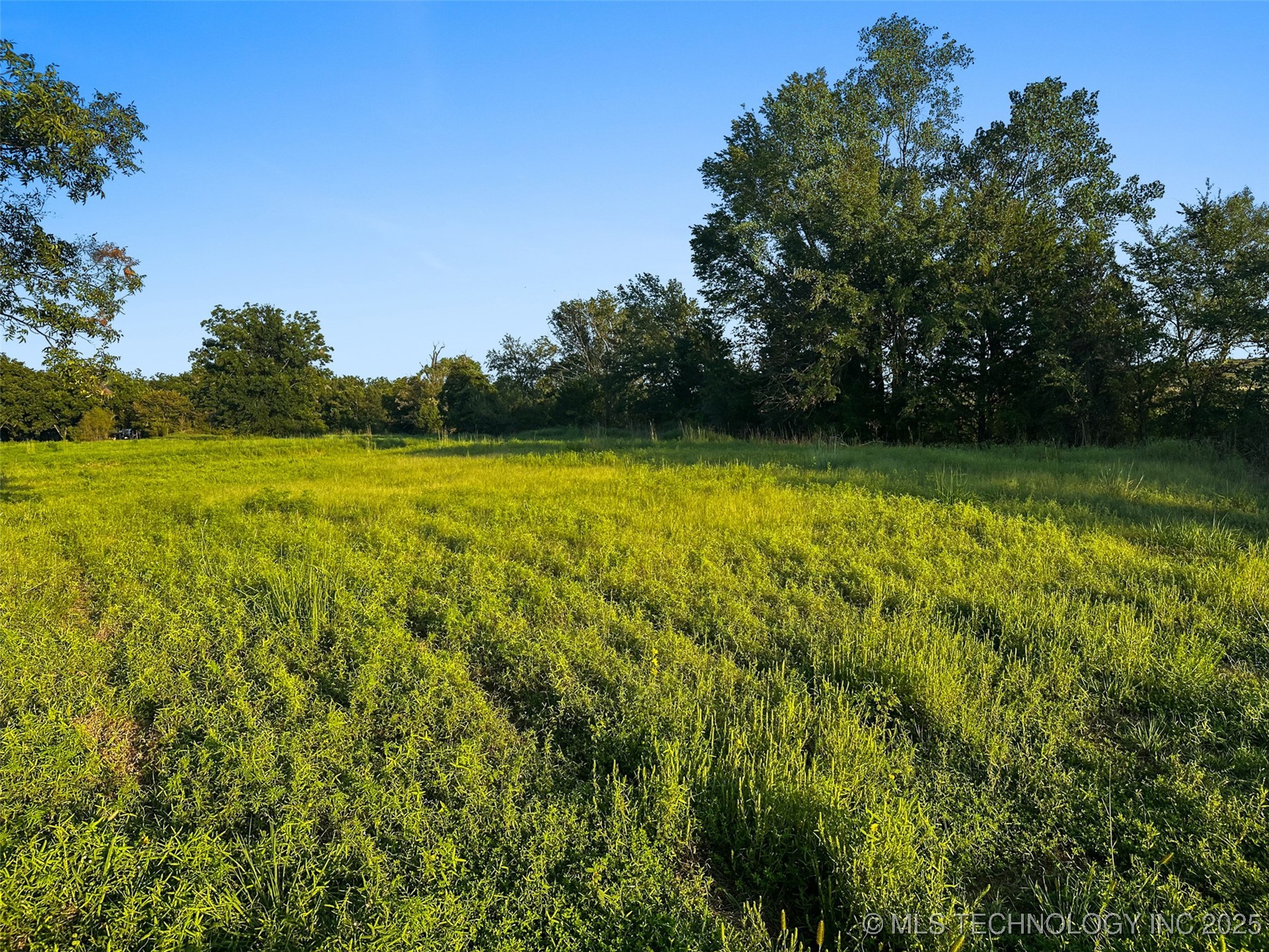 0000 Hackberry Road Property Photo 25