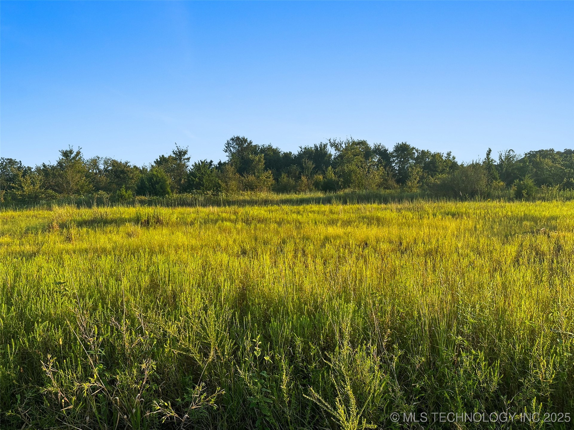 0000 Hackberry Road Property Photo 37