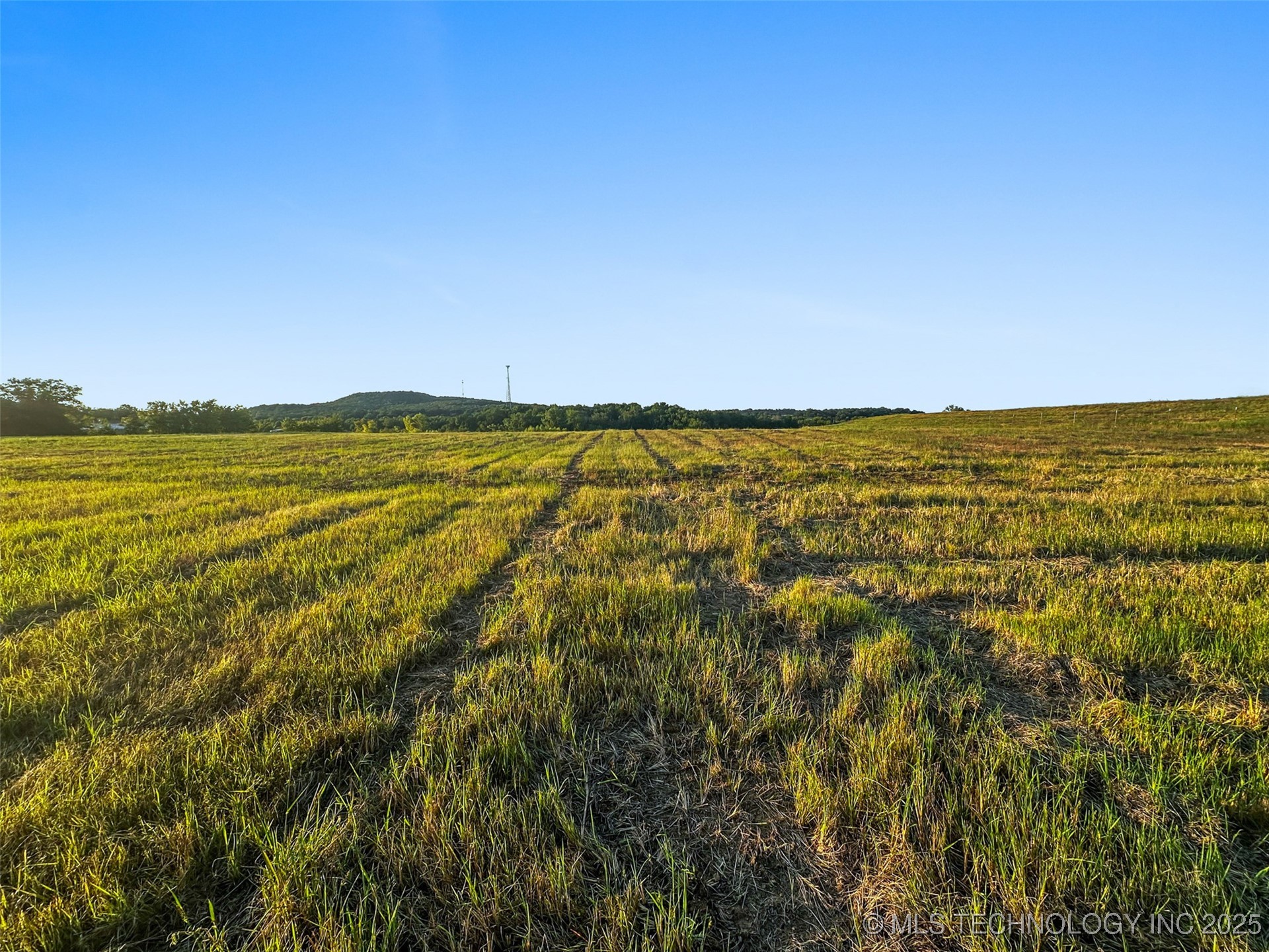 0000 Hackberry Road Property Photo 38