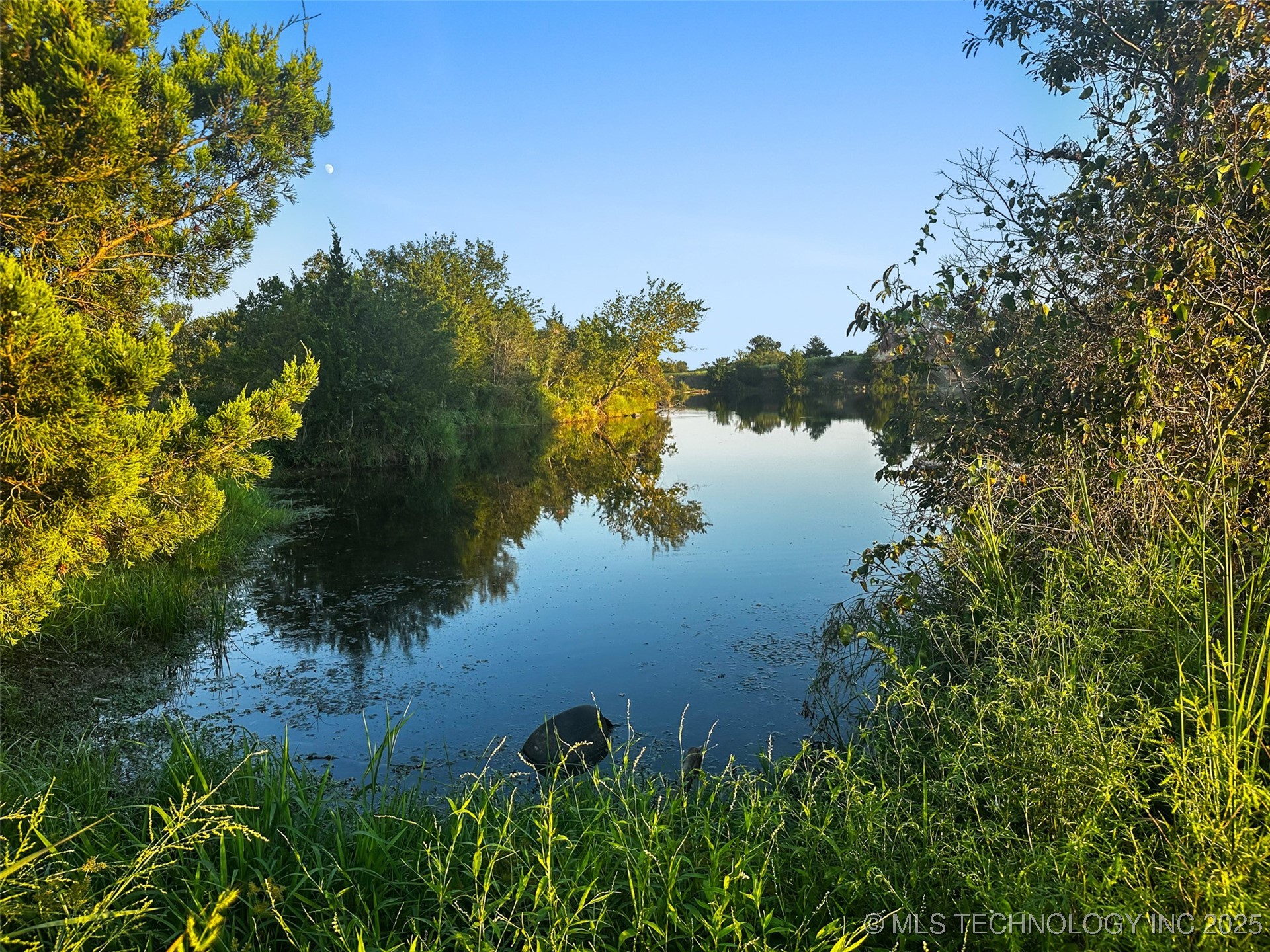 0000 Hackberry Road Property Photo 39