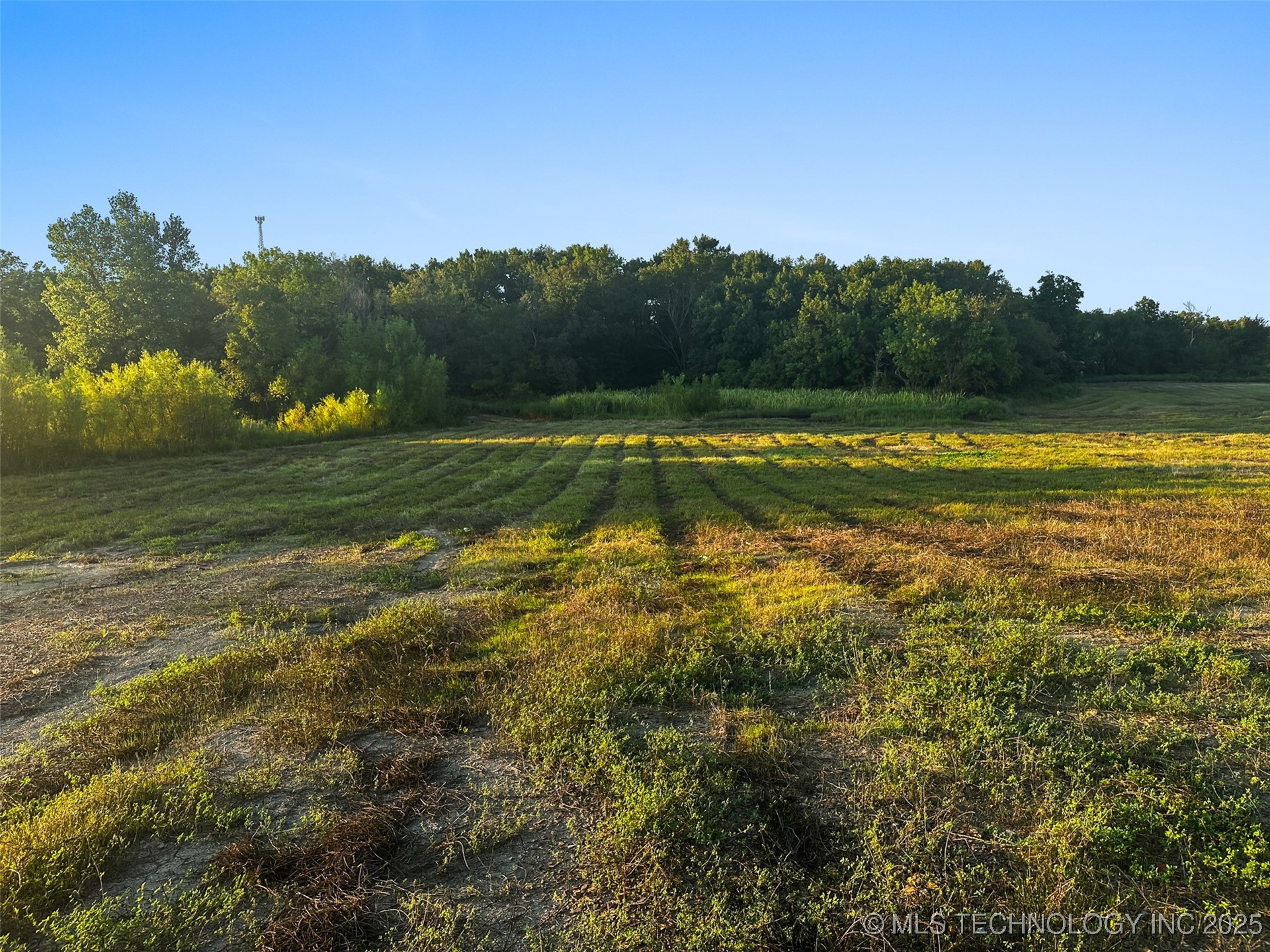 0000 Hackberry Road Property Photo 42
