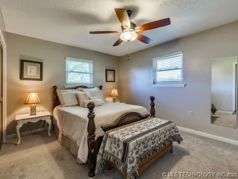 419907 E 1153 Road Property Photo 38