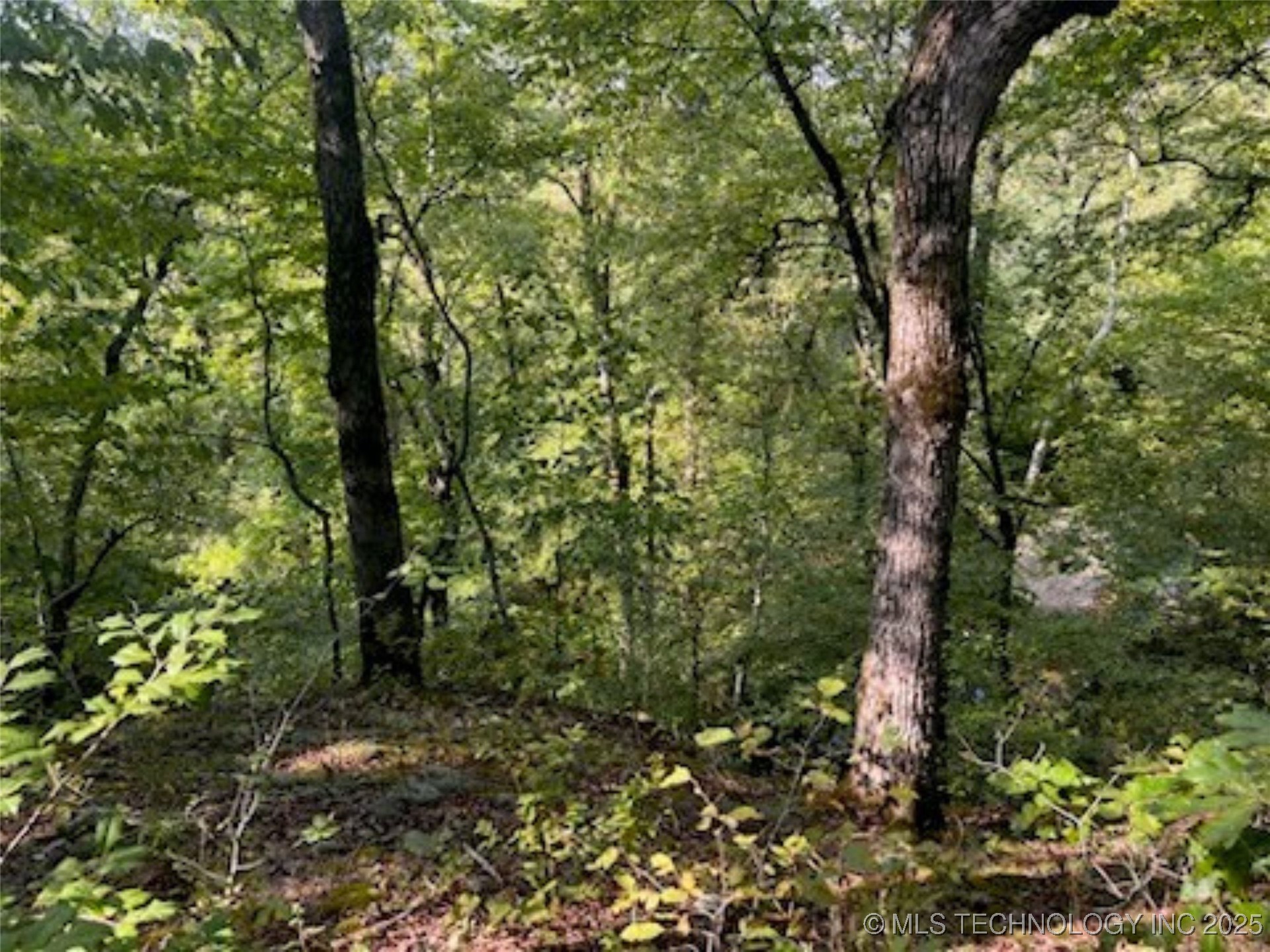 407 Cottonwood Property Photo 1