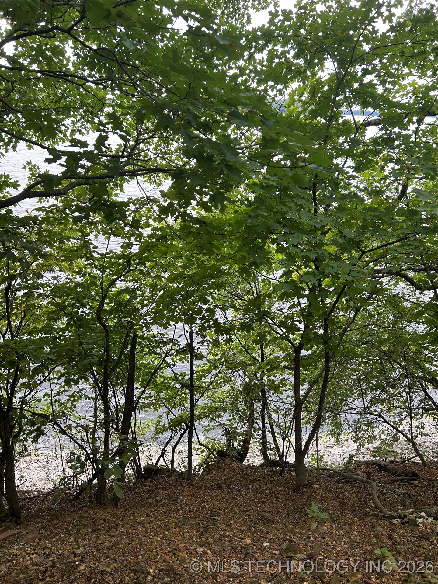 494 Private Road 93 Property Photo 27