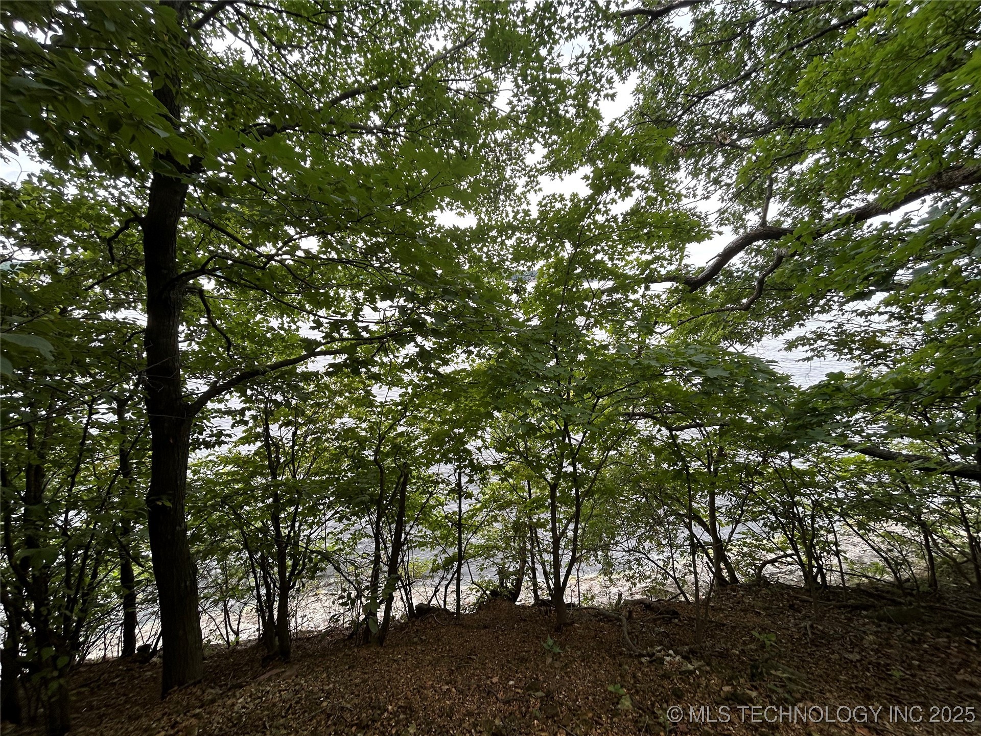 494 Private Road 93 Property Photo 28