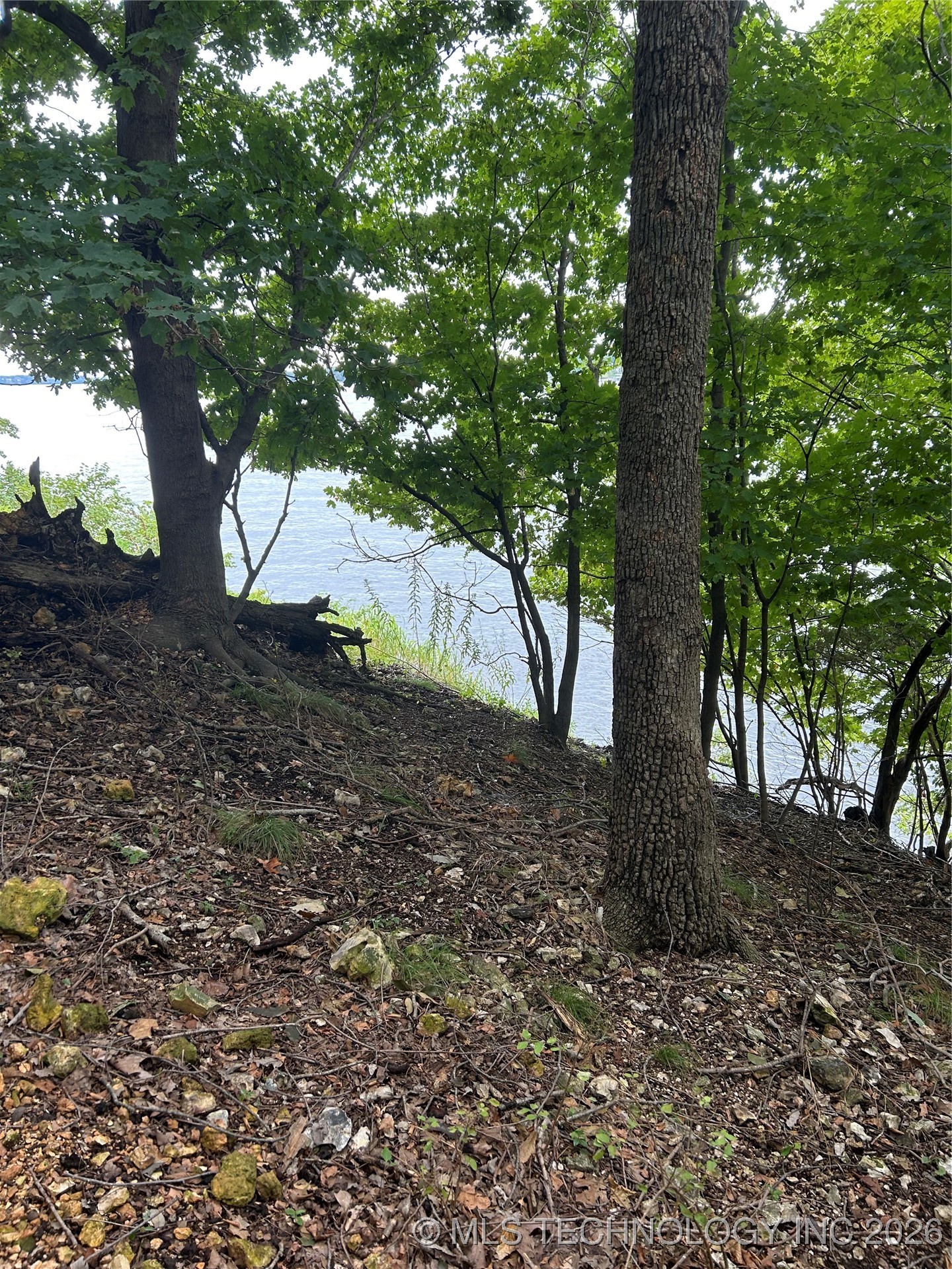 494 Private Road 93 Property Photo 29