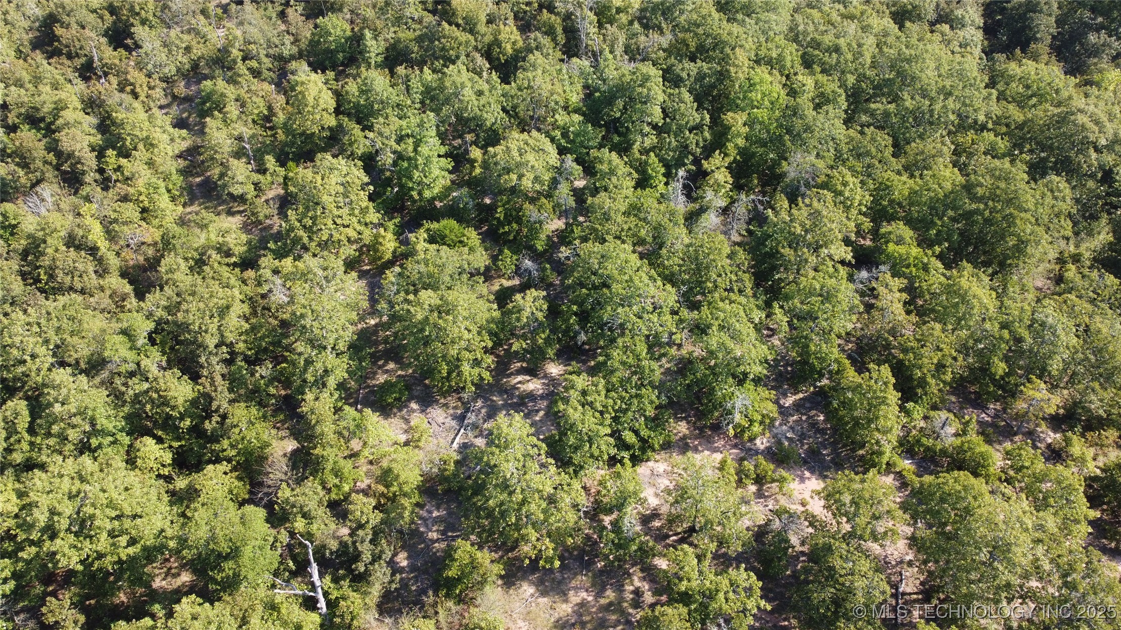 S 385th Avenue Property Photo 22