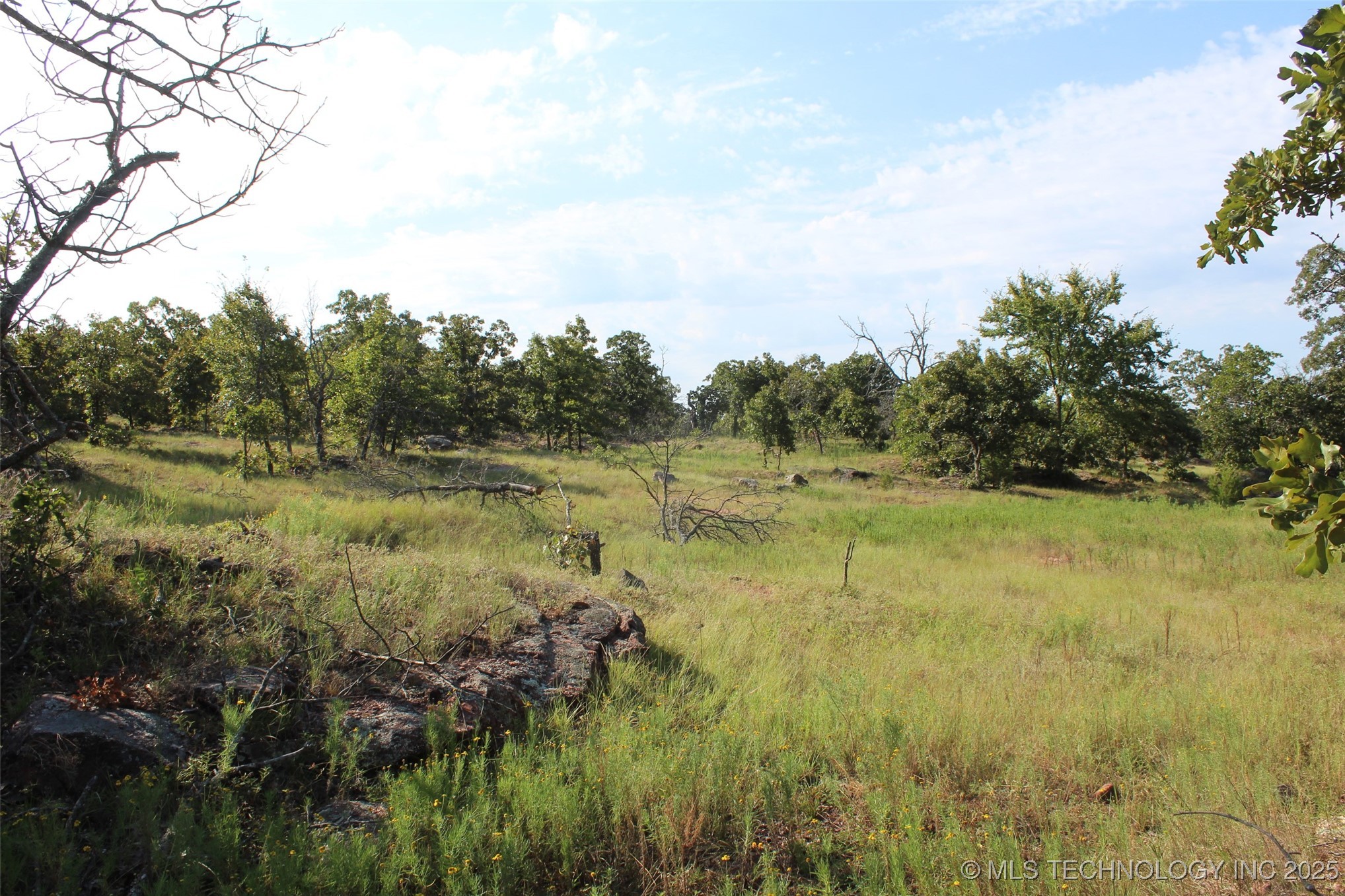 S 385th Avenue Property Photo 24