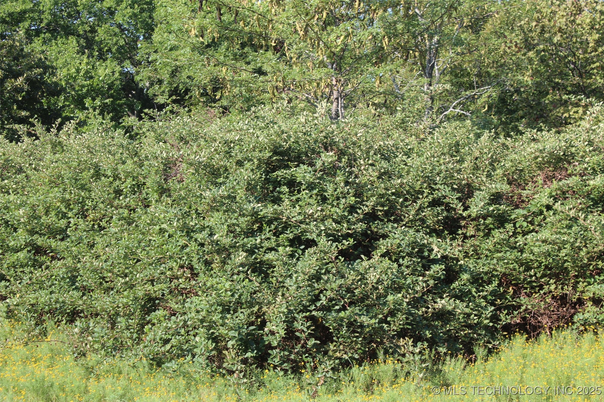 S 385th Avenue Property Photo 27