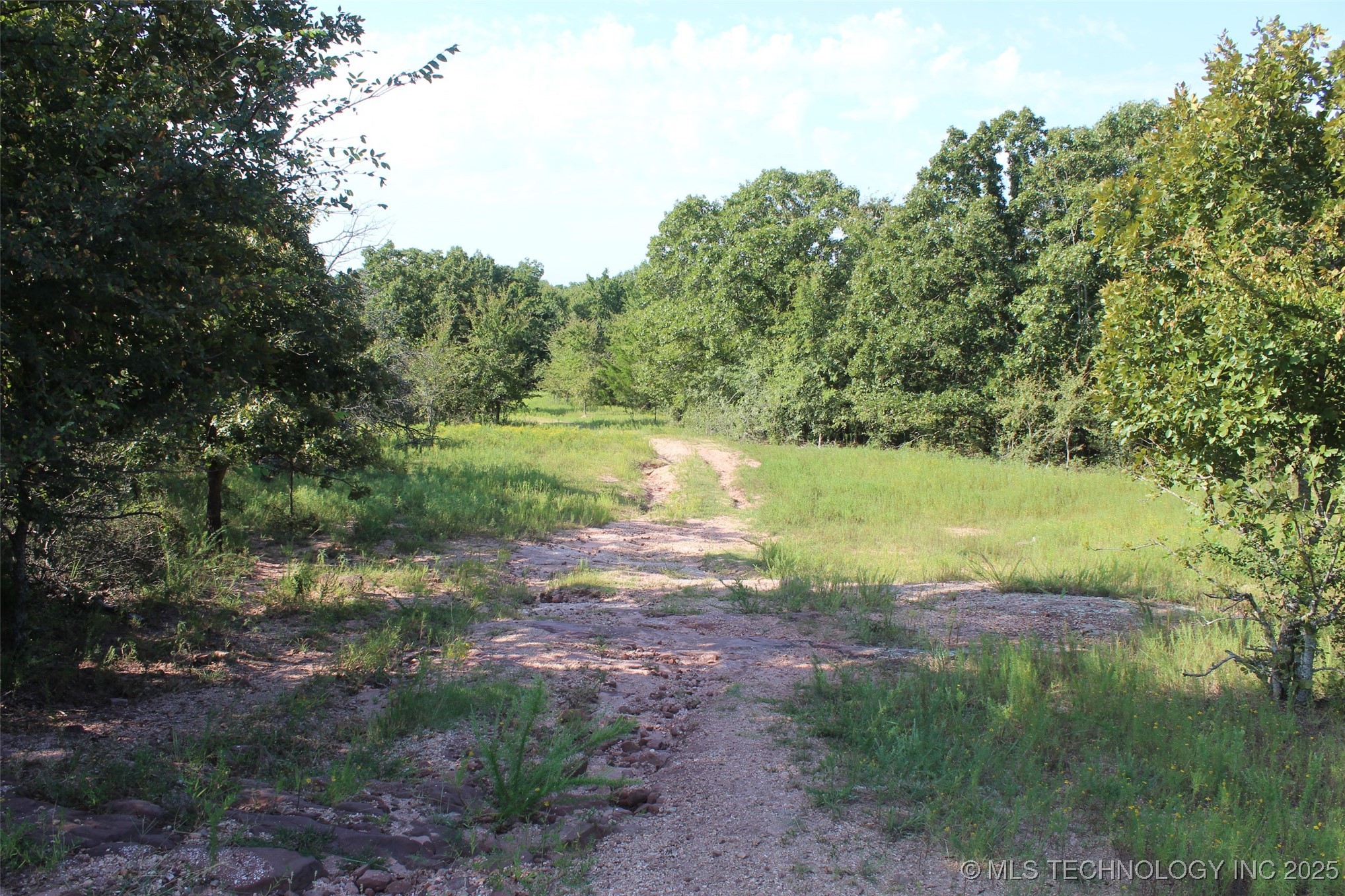 S 385th Avenue Property Photo 28