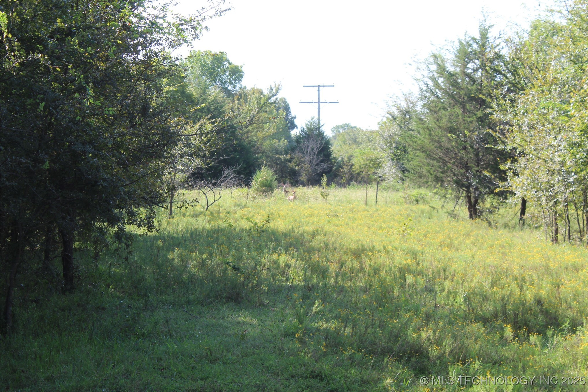 S 385th Avenue Property Photo 30