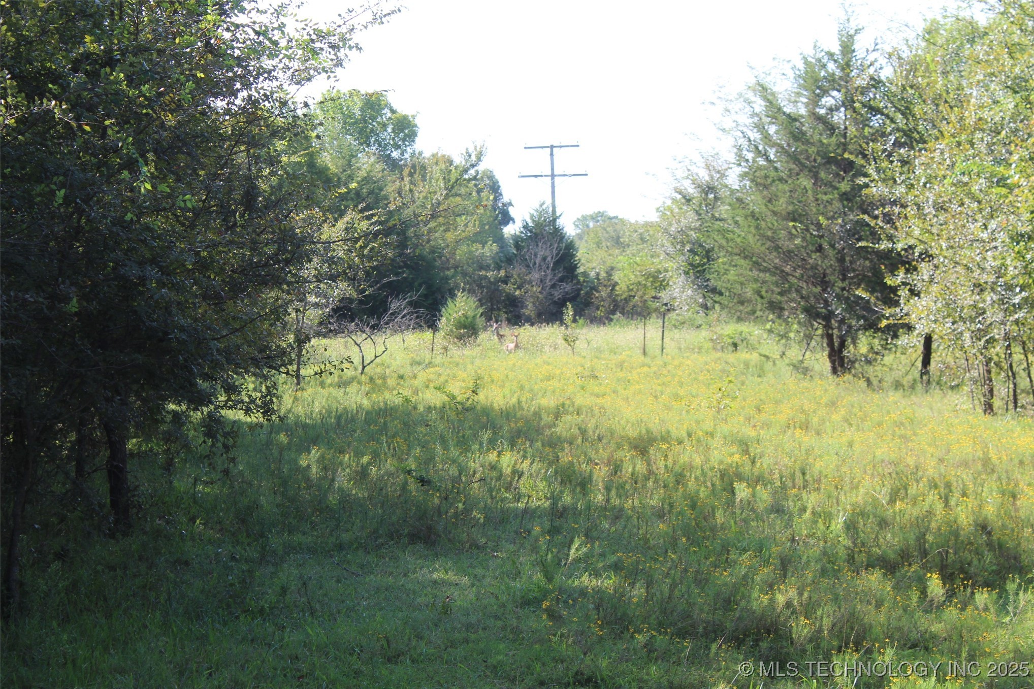 S 385th Avenue Property Photo 31