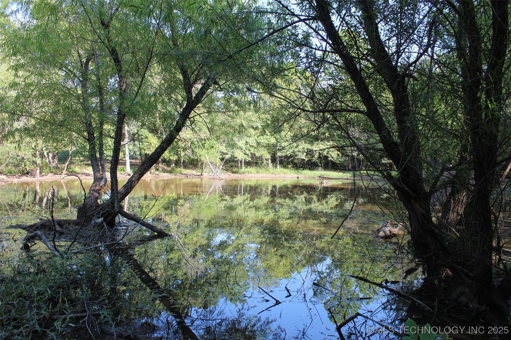 S 385th Avenue Property Photo 33