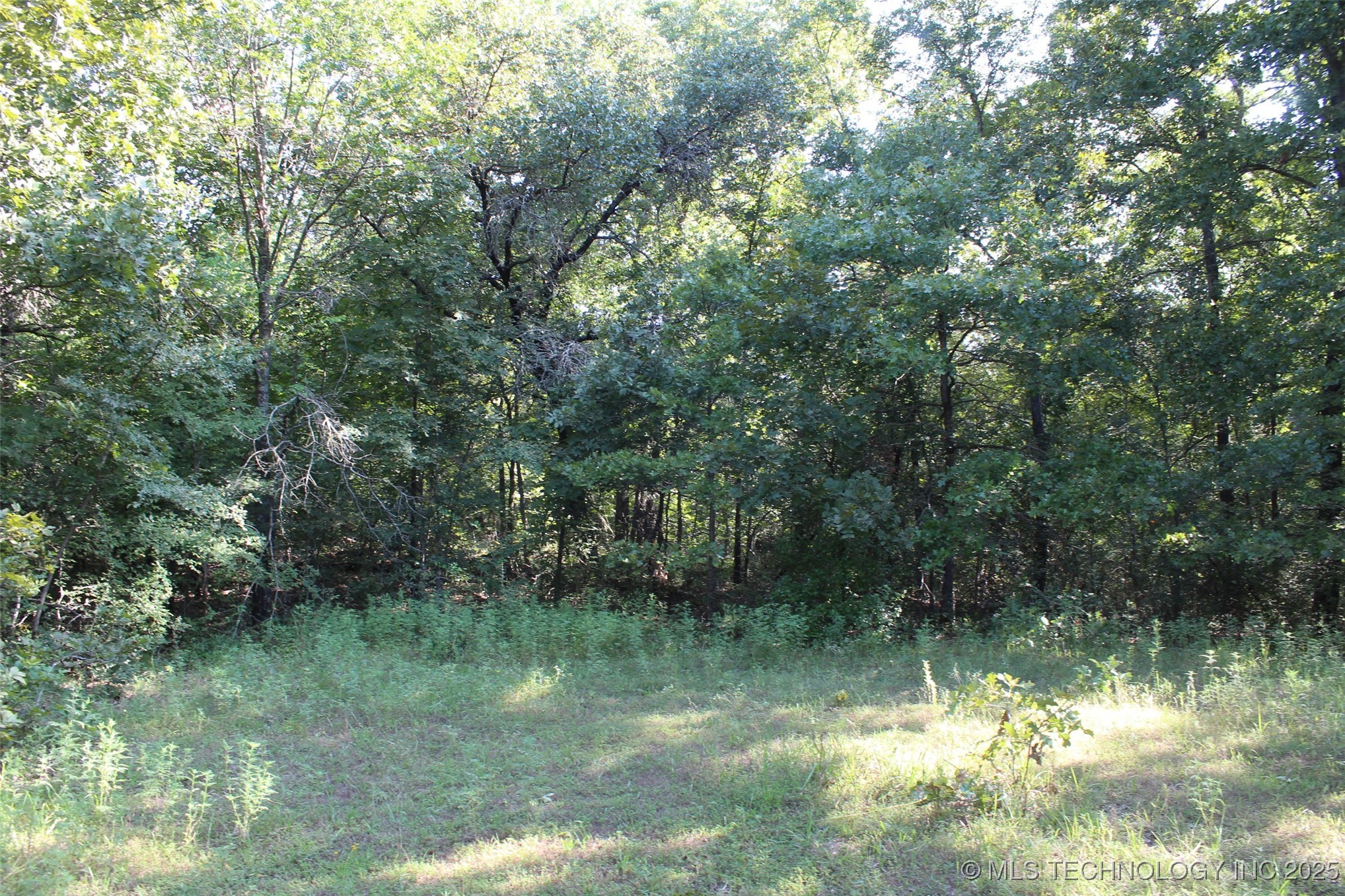 S 385th Avenue Property Photo 35