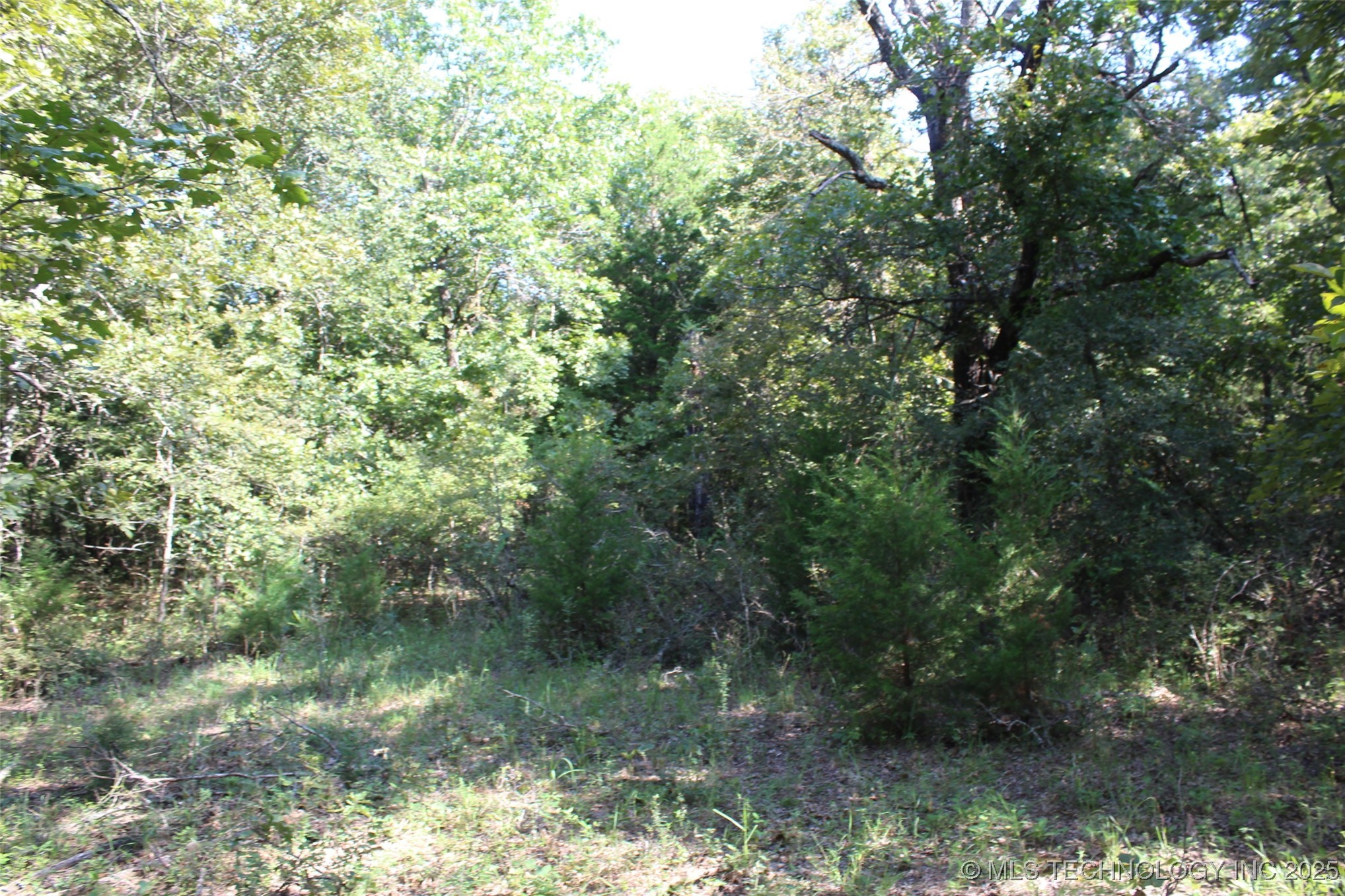 S 385th Avenue Property Photo 36