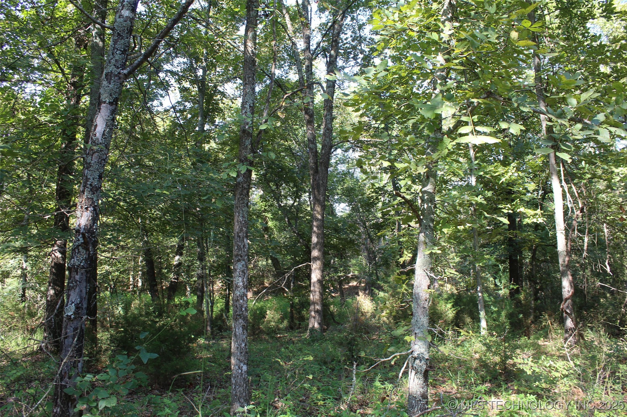 S 385th Avenue Property Photo 37