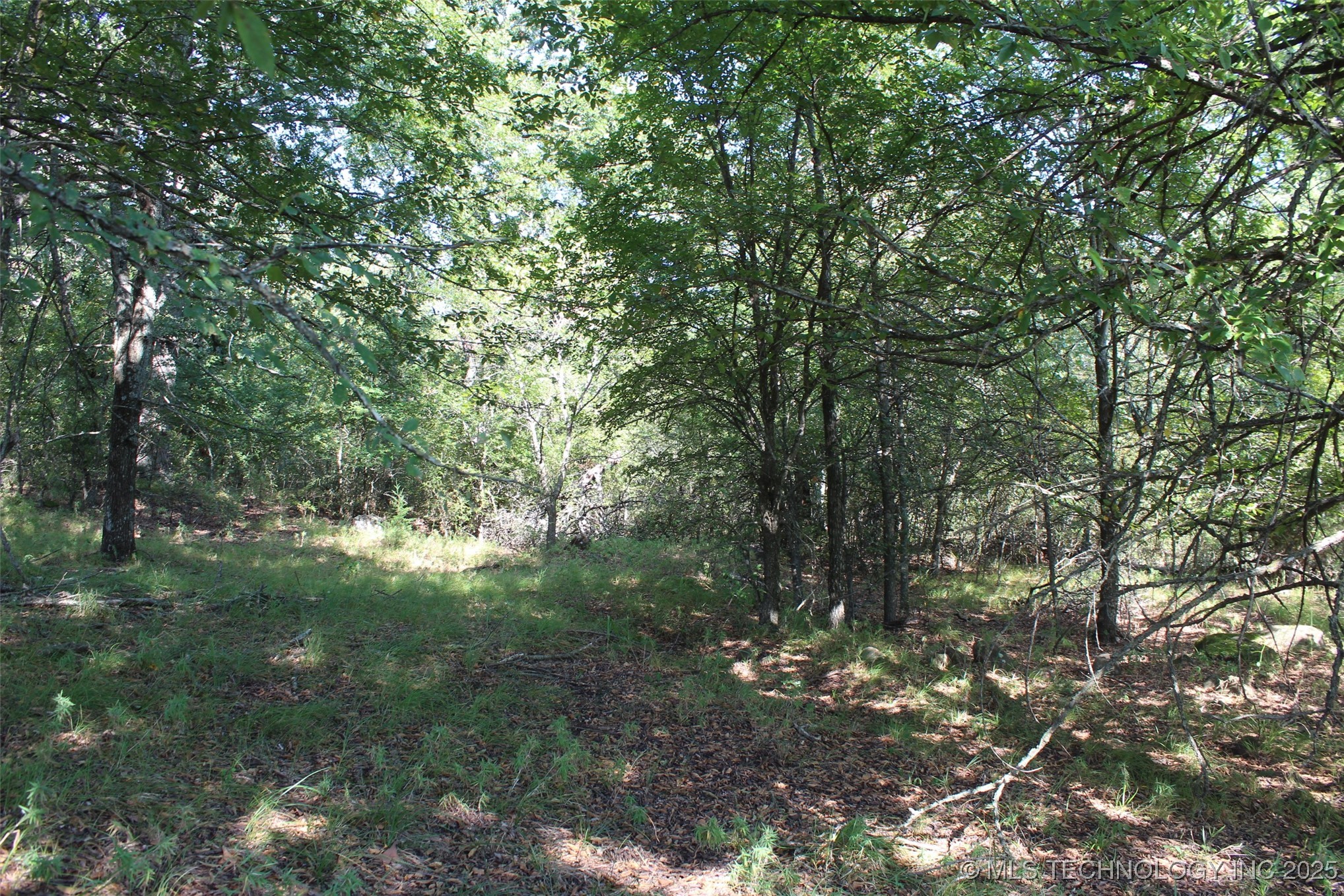 S 385th Avenue Property Photo 38