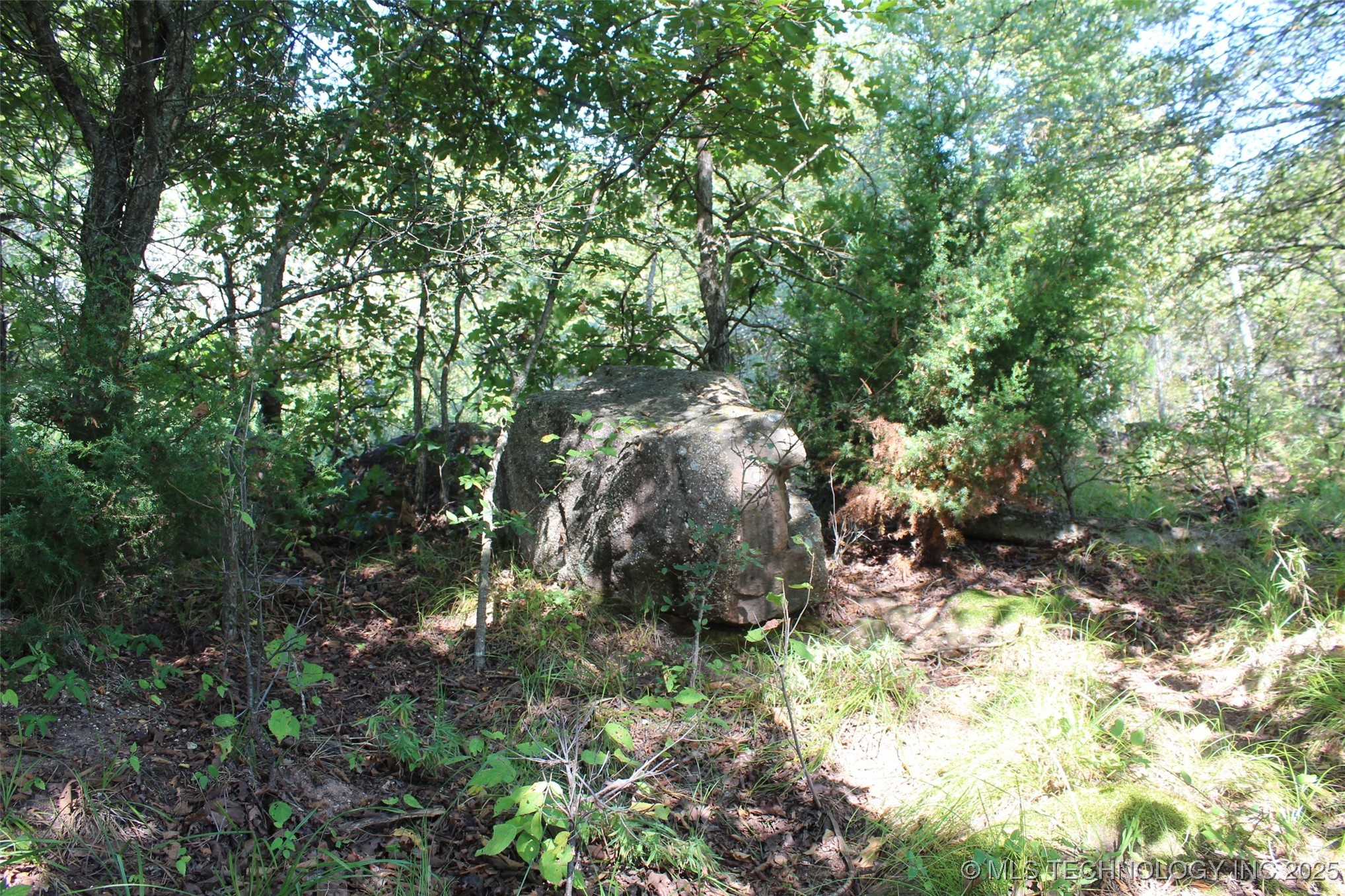 S 385th Avenue Property Photo 39