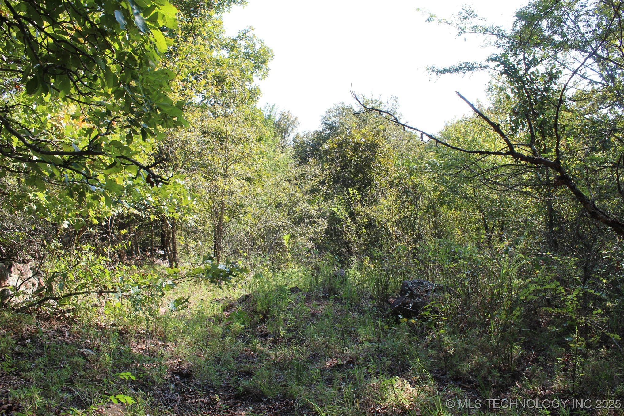 S 385th Avenue Property Photo 40