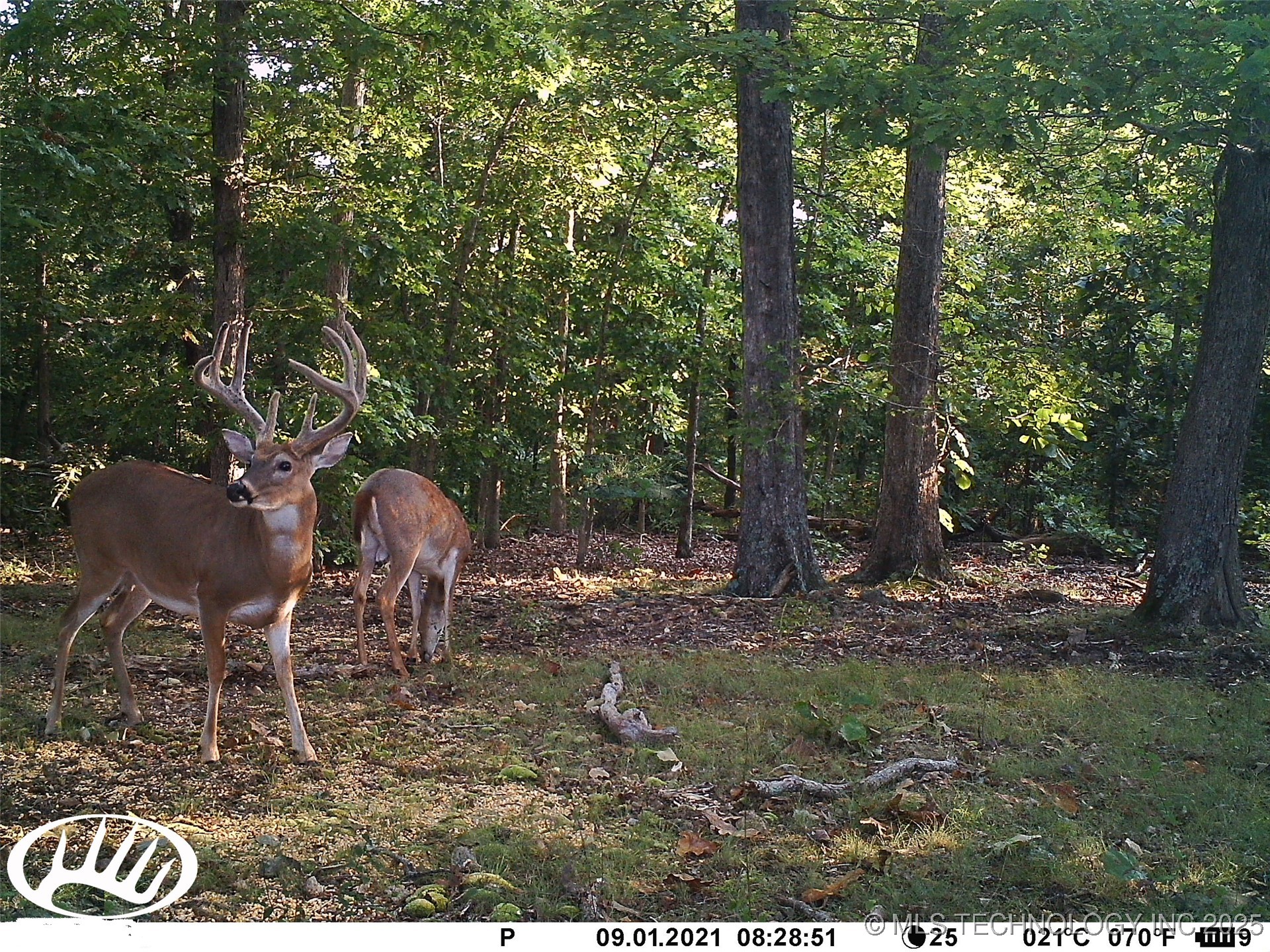 0000 S Hwy 82 A Property Photo 5