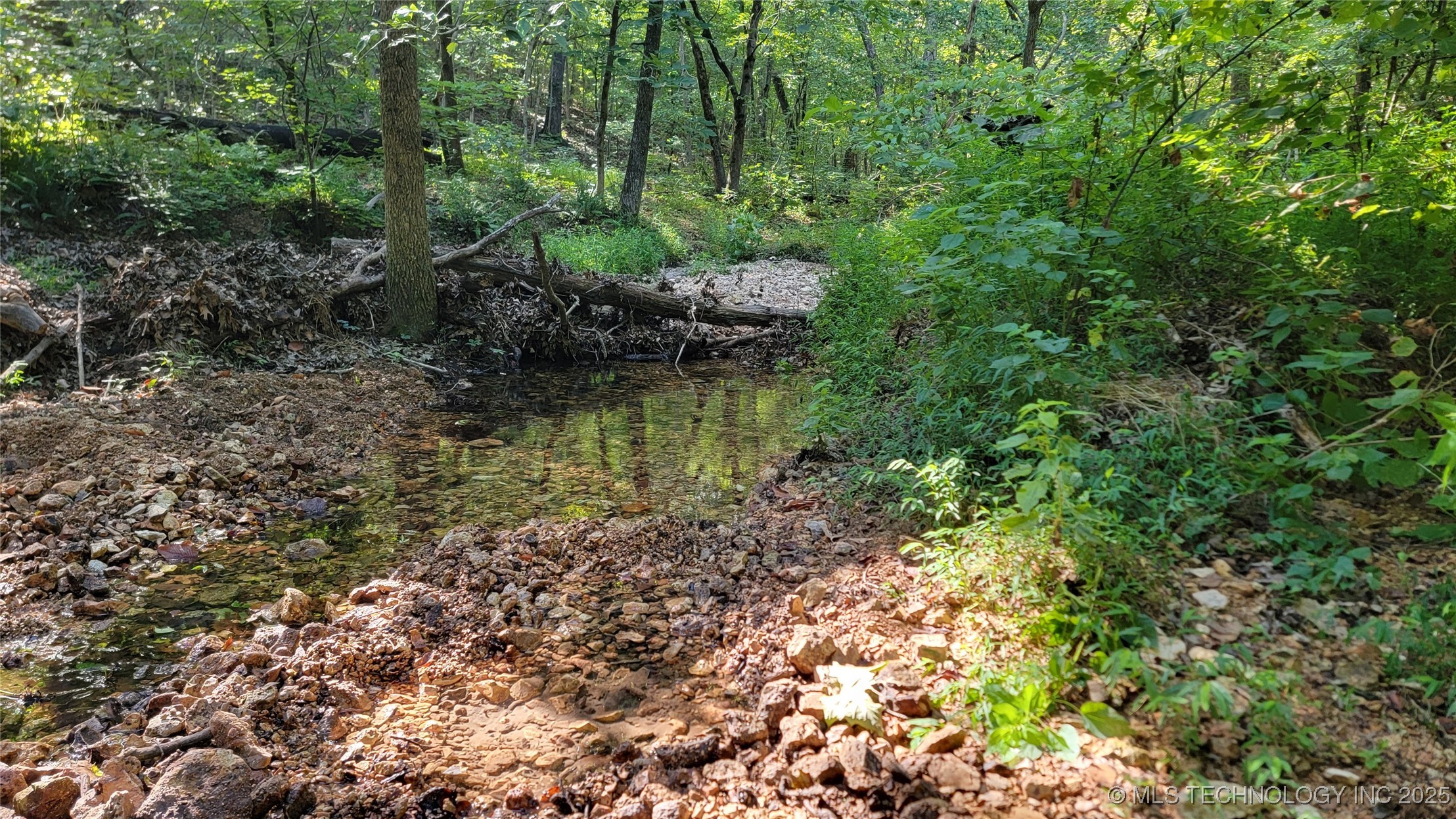 0000 S Hwy 82 A Property Photo 6