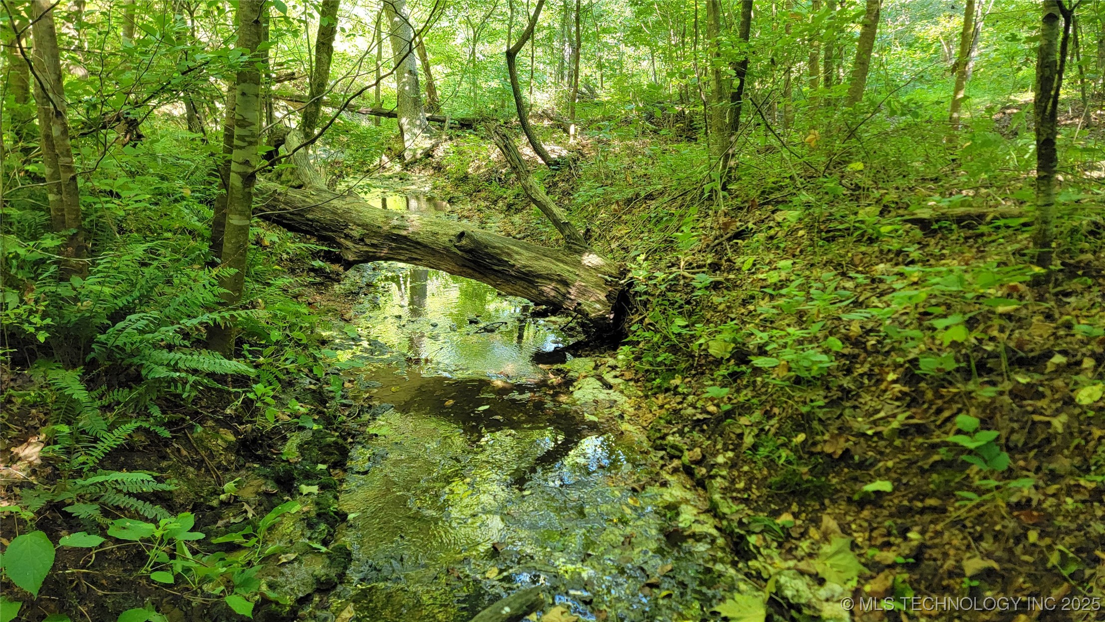 0000 S Hwy 82 A Property Photo 13