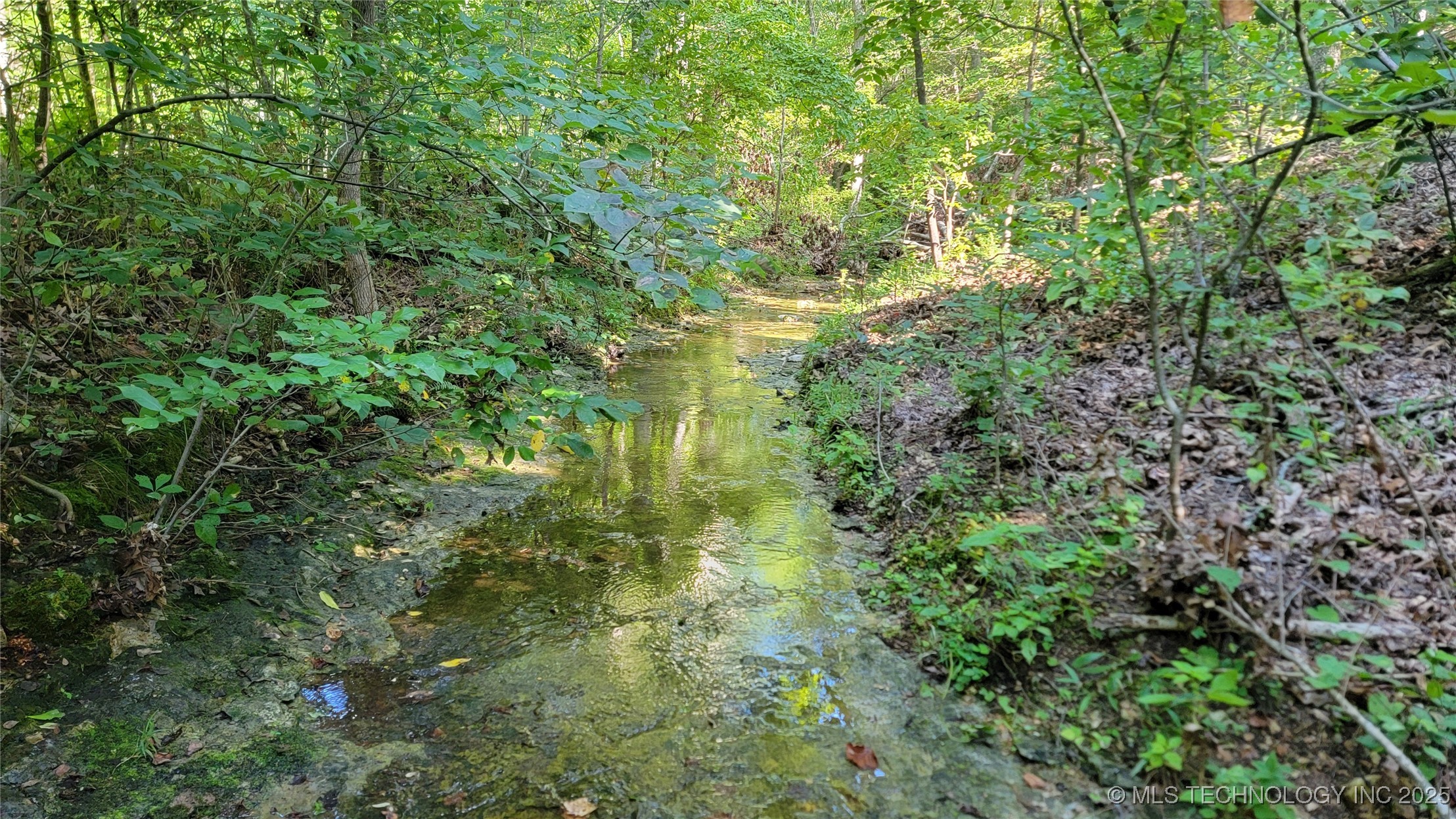 0000 S Hwy 82 A Property Photo 15