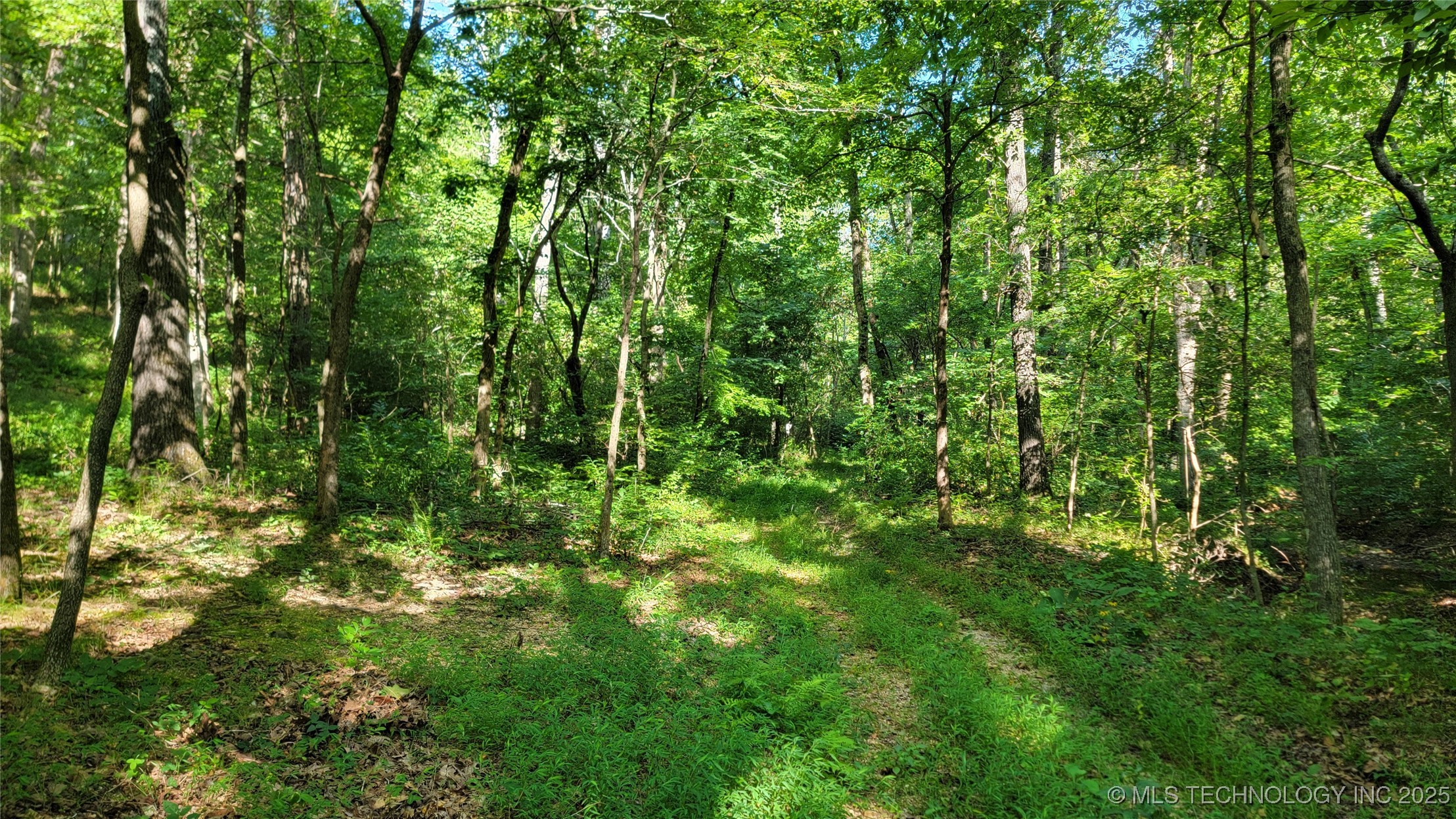 0000 S Hwy 82 A Property Photo 16