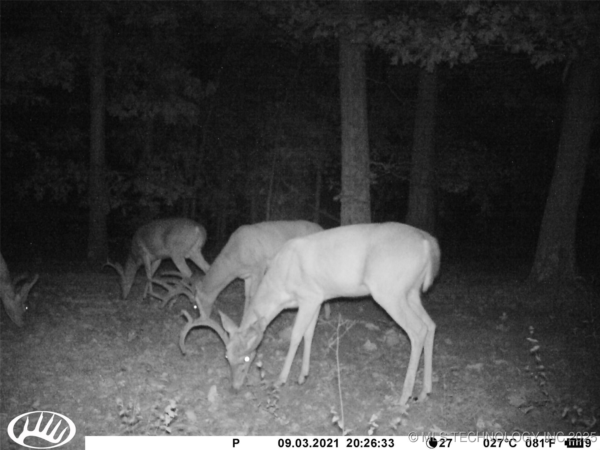 0000 S Hwy 82 A Property Photo 22