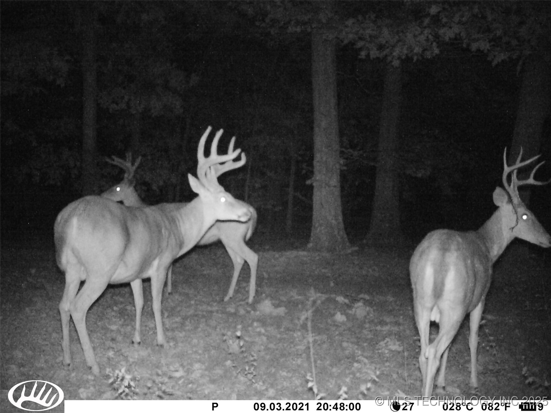 0000 S Hwy 82 A Property Photo 23