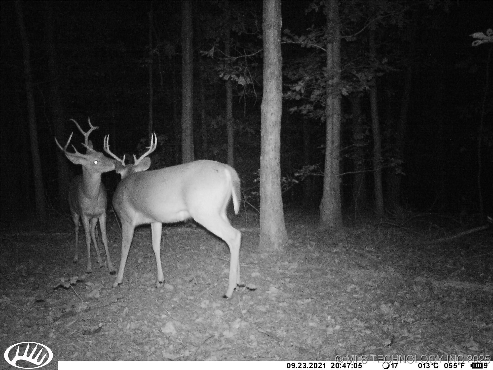 0000 S Hwy 82 A Property Photo 24